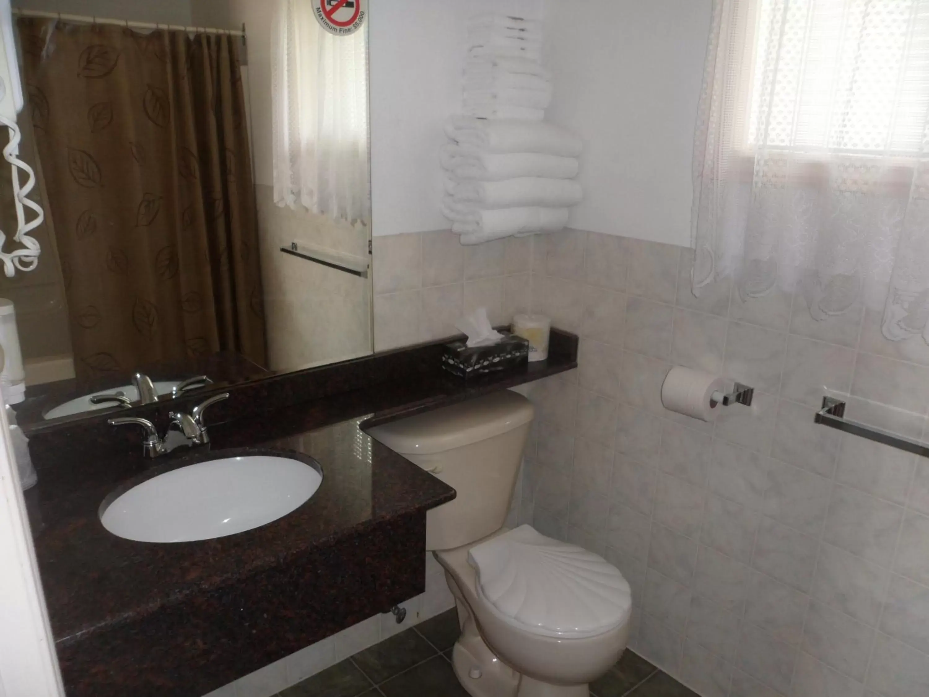 Bathroom in The Silver Birch Motel