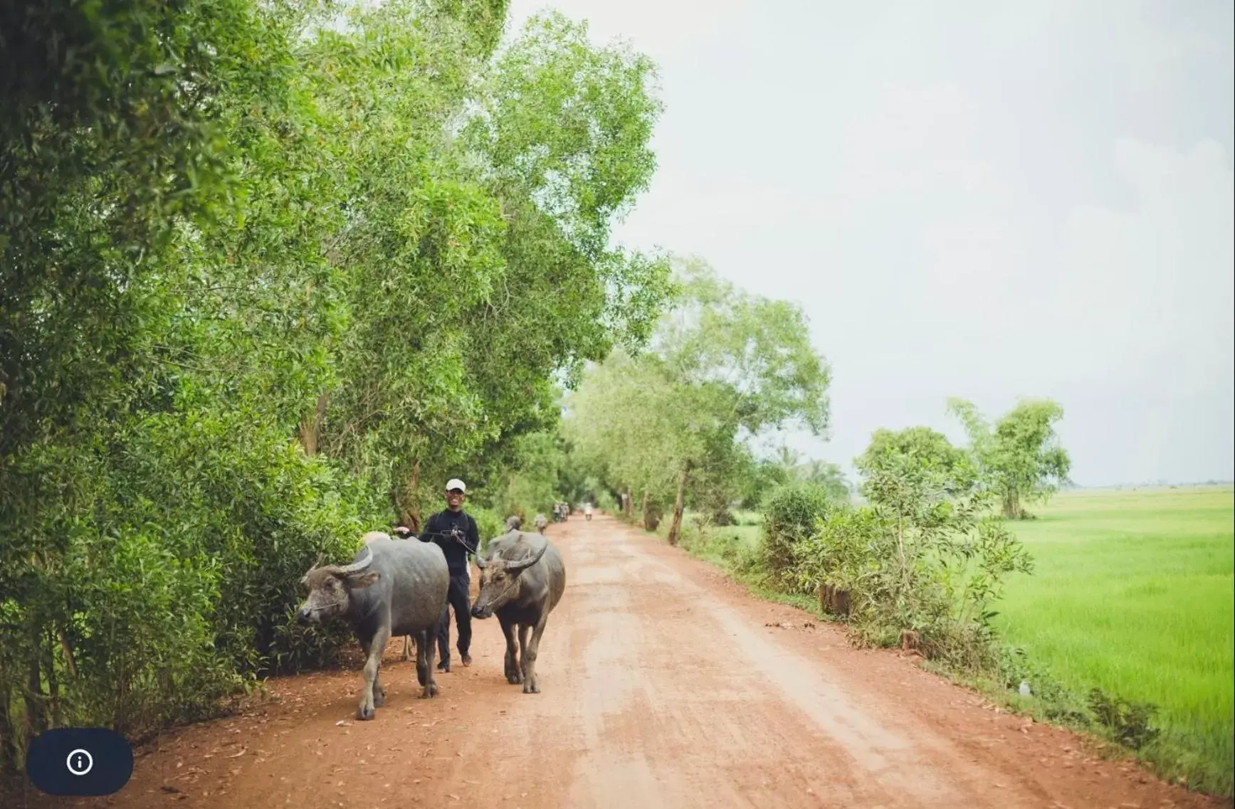 Nearby landmark, Horseback Riding in Sambor Village Hotel