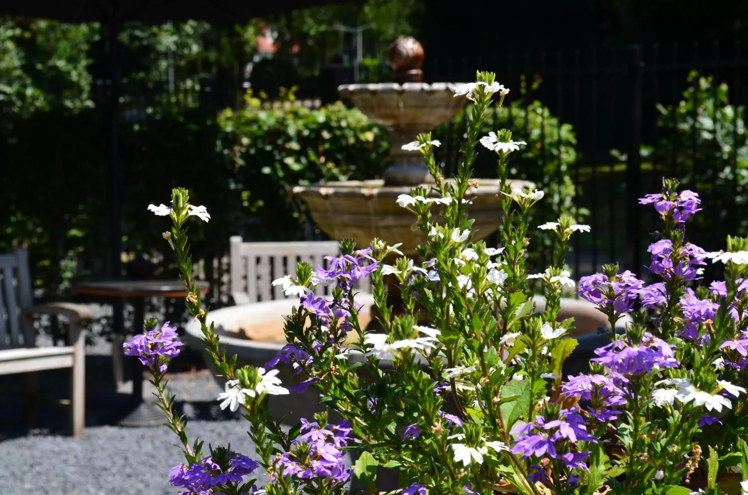 Garden in Hotel Villa Trompenberg