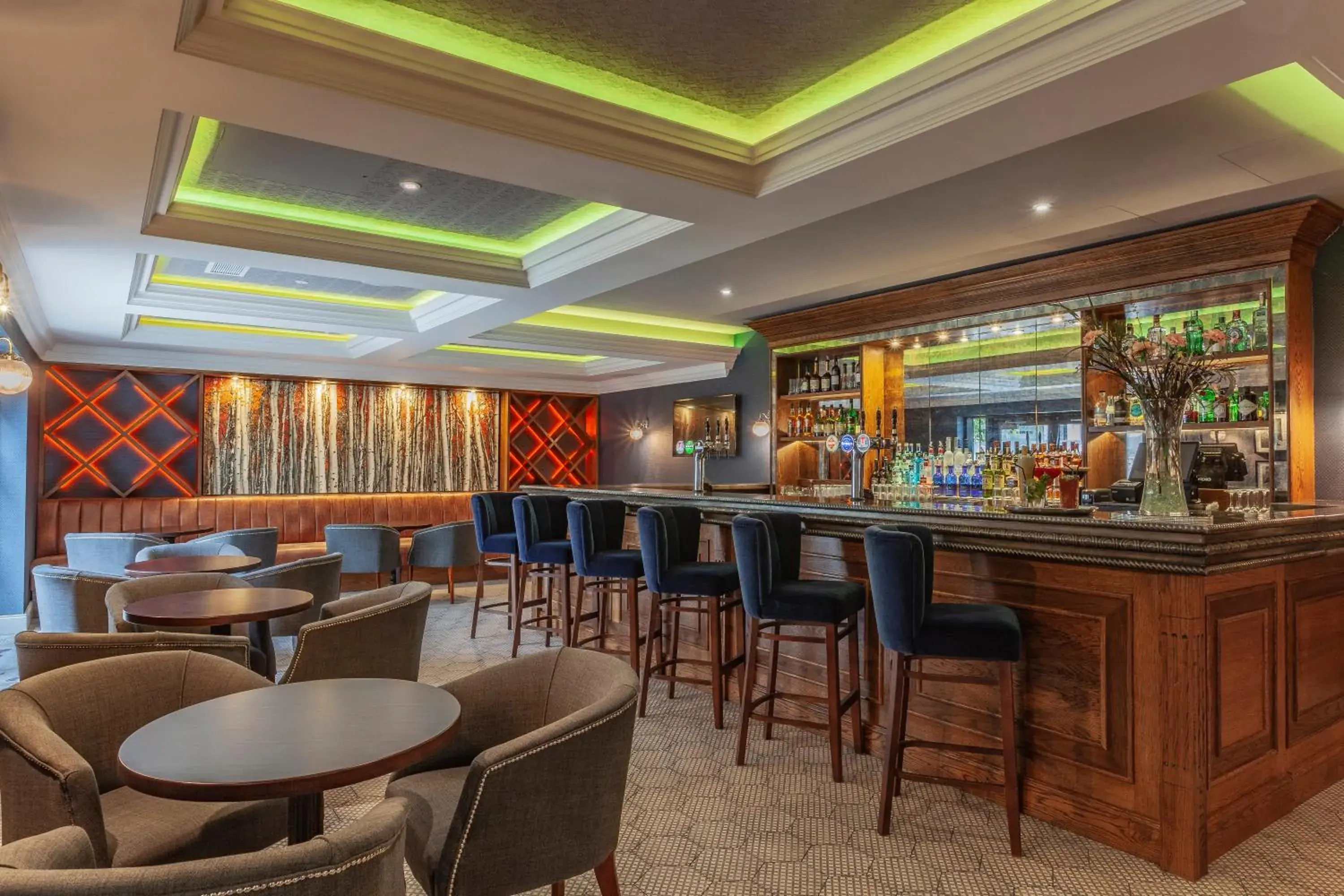 Drinks, Lounge/Bar in Silverbirch Hotel