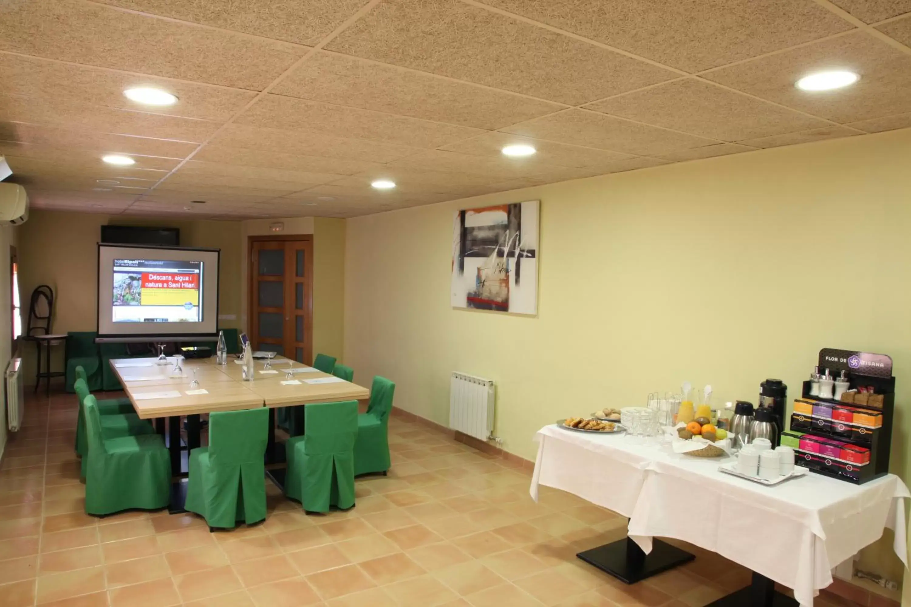 Business facilities in Hotel Ripoll