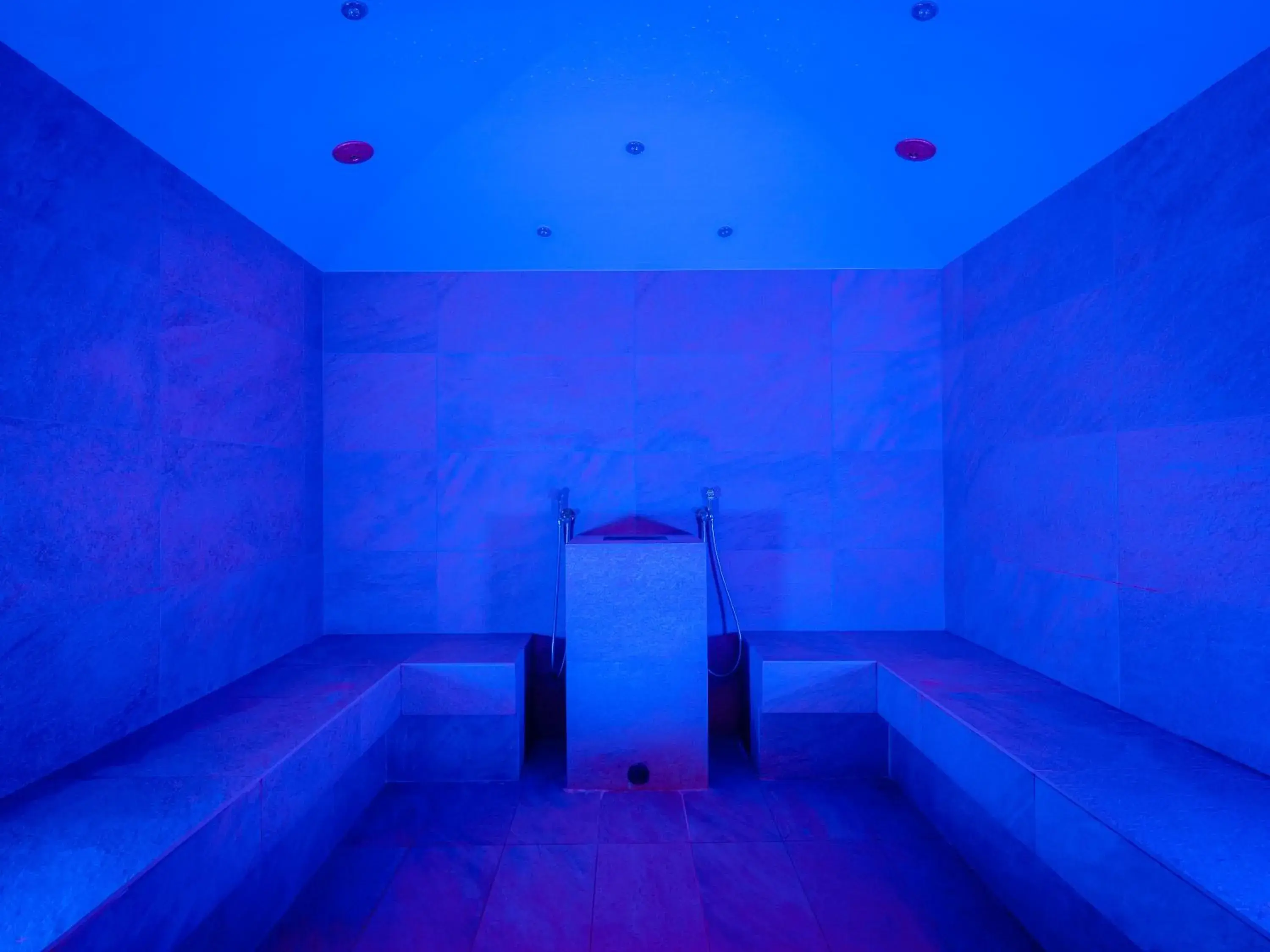 Steam room in Parc Hotel Germano Suites & Apartments