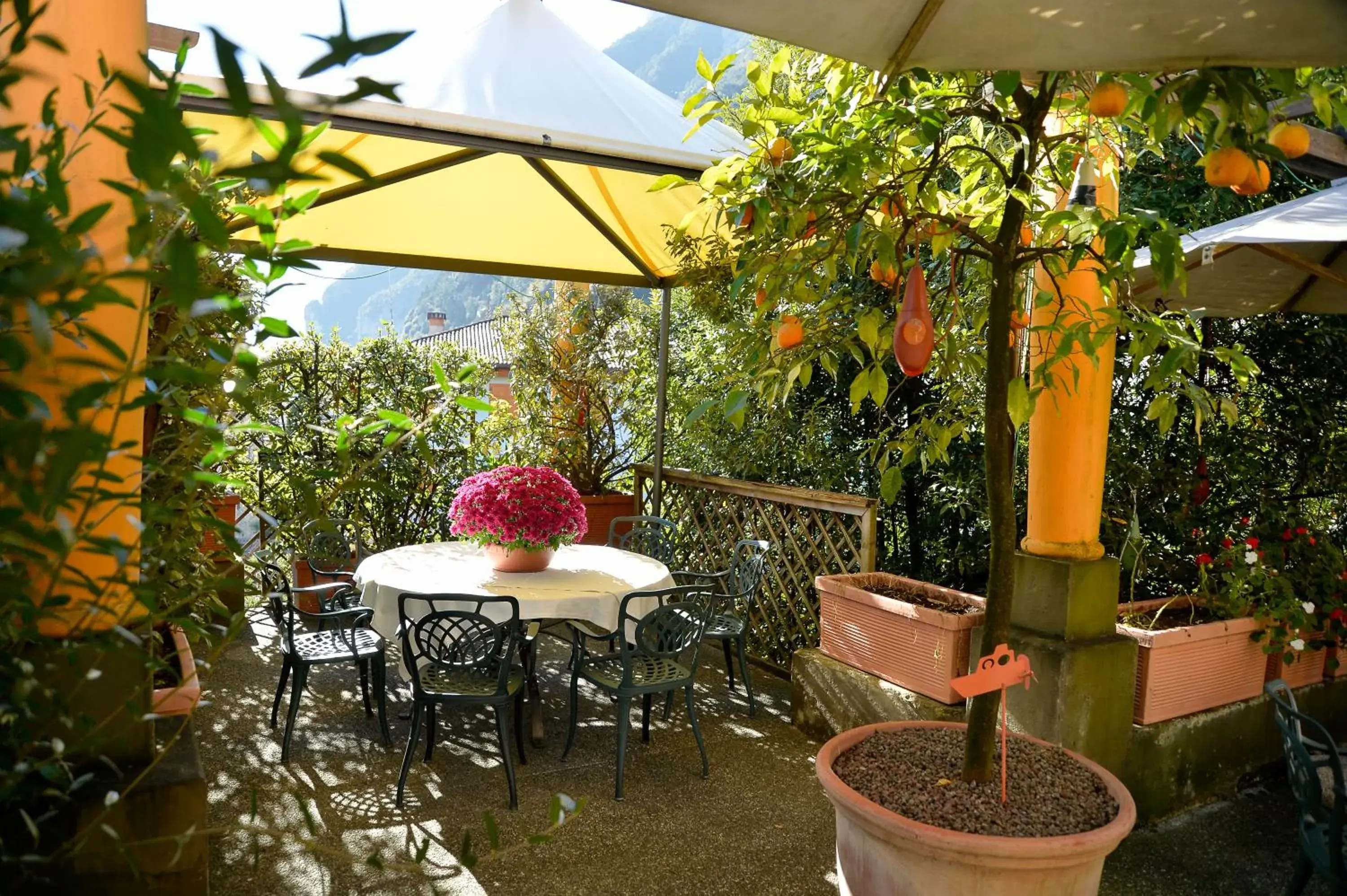 Restaurant/places to eat, Patio/Outdoor Area in Hotel Villa Miravalle