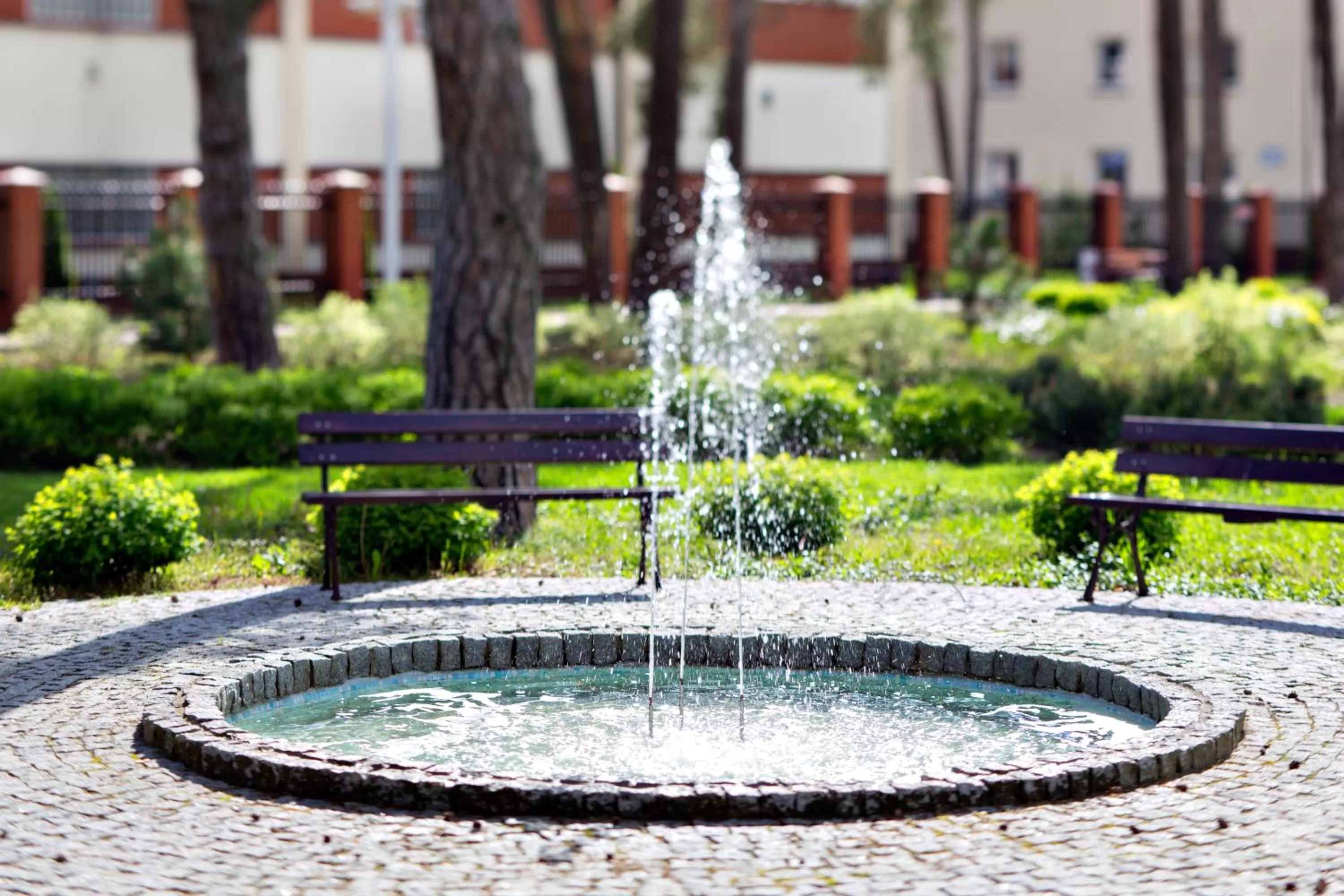 Natural landscape in Z-Hotel Business & Spa