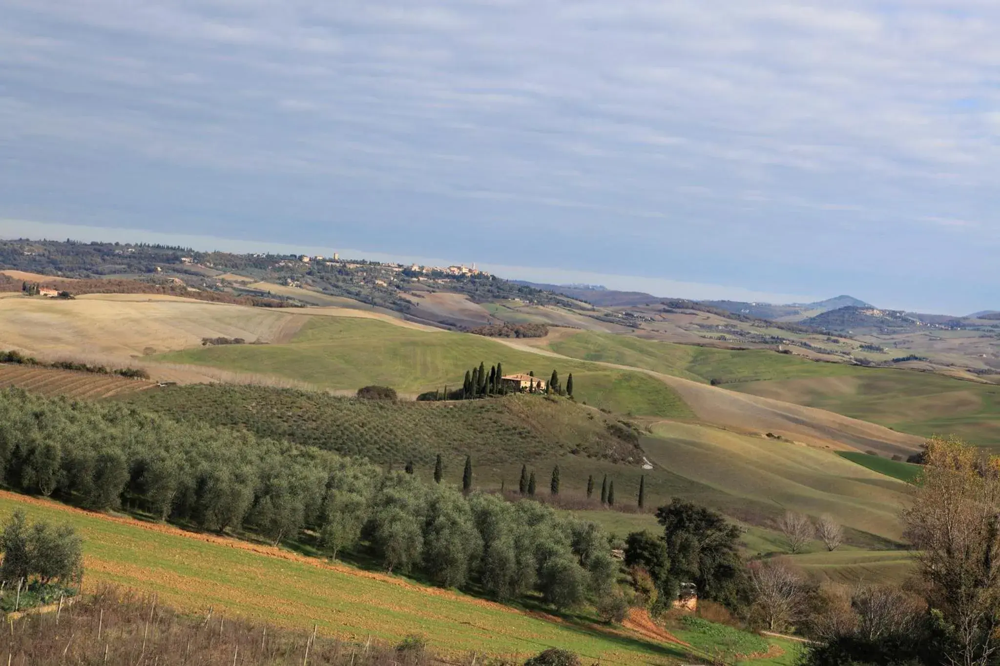 View (from property/room) in Il Garibaldi