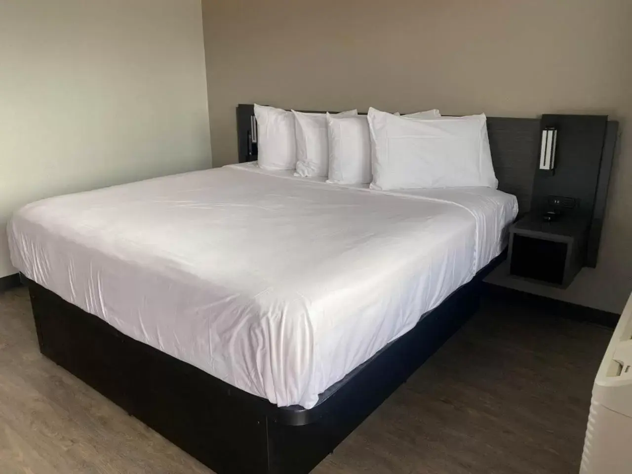 Bed in Albuquerque, NM - Midtown