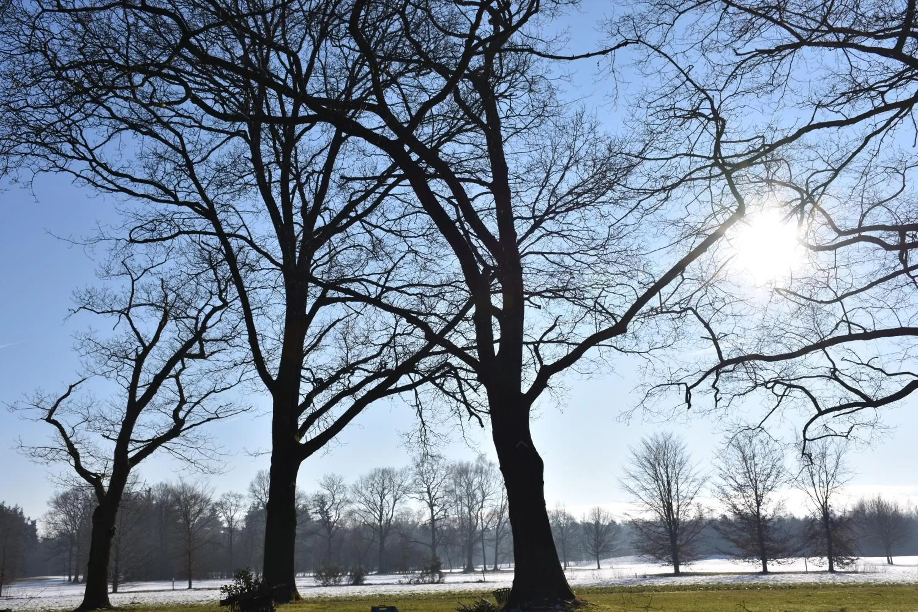 Natural landscape, Winter in Boutique B&B Hoeve de Haar