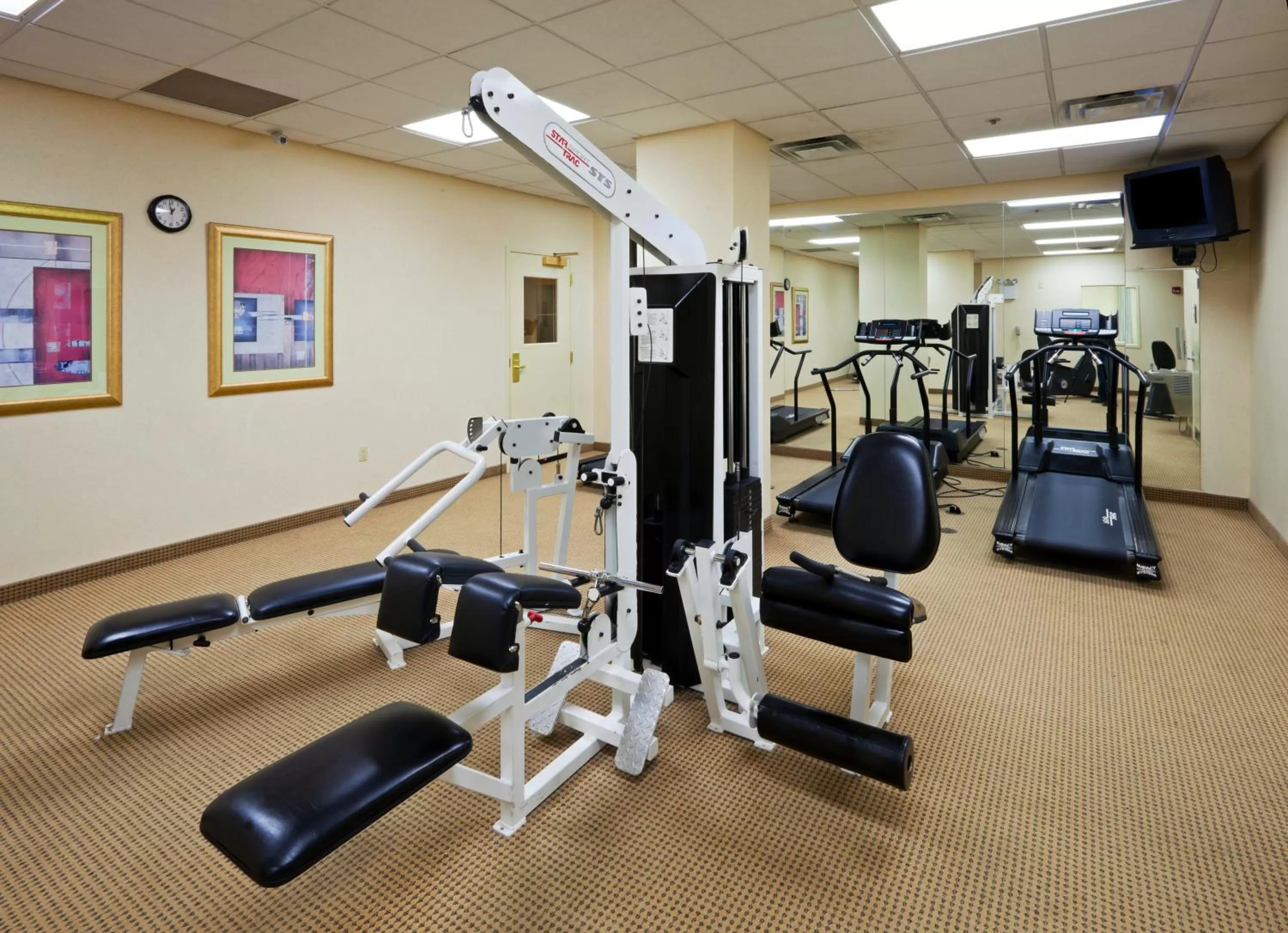 Fitness centre/facilities in Holiday Inn Chantilly-Dulles Expo Airport by IHG