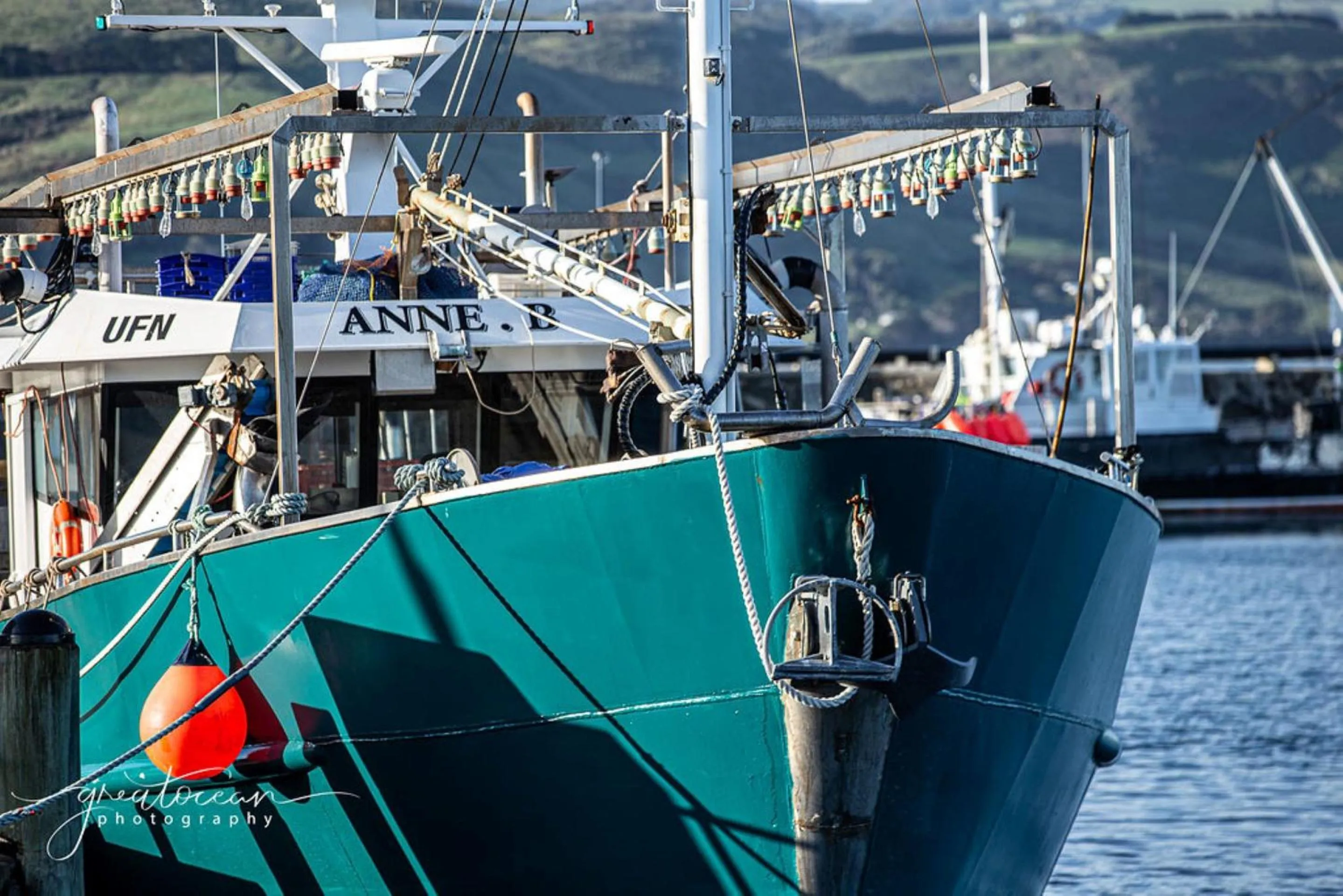 Fishing, Other Activities in Best Western Apollo Bay Motel