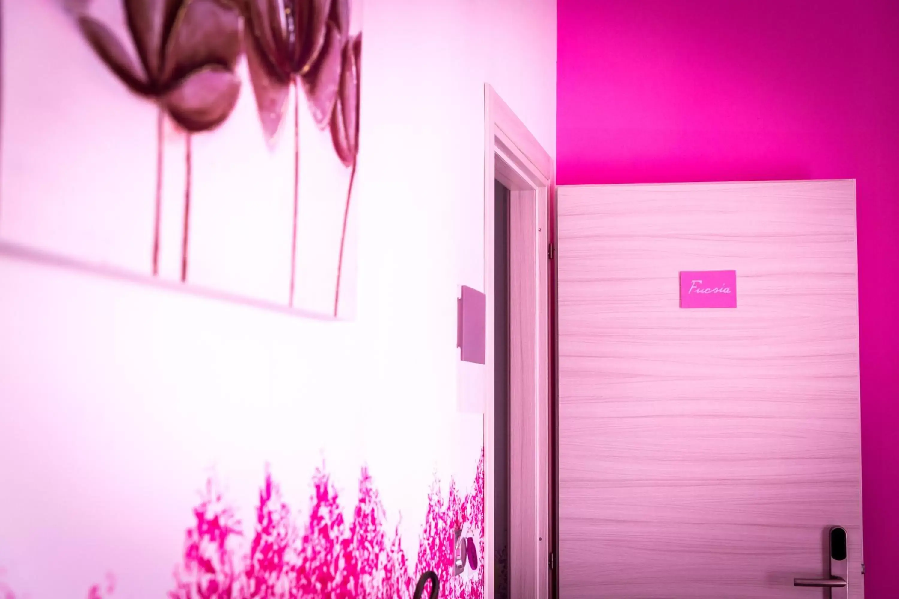 Double Room with Balcony (3 Adults) - single occupancy in Colors B&B Double Room with Balcony (3 Adults) - single occupancy in Colors B&B