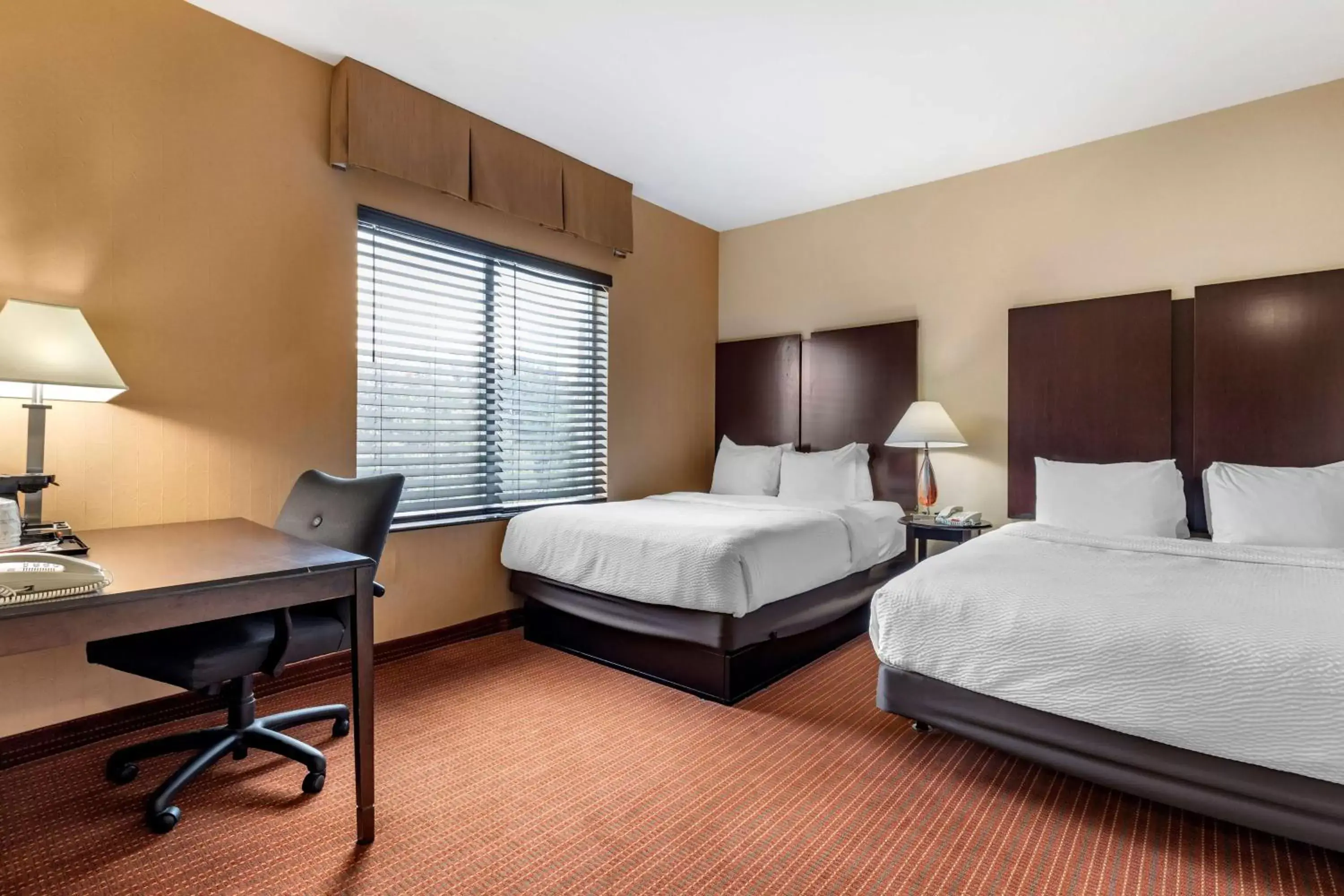 Bed in Best Western Plus DFW Airport West Euless