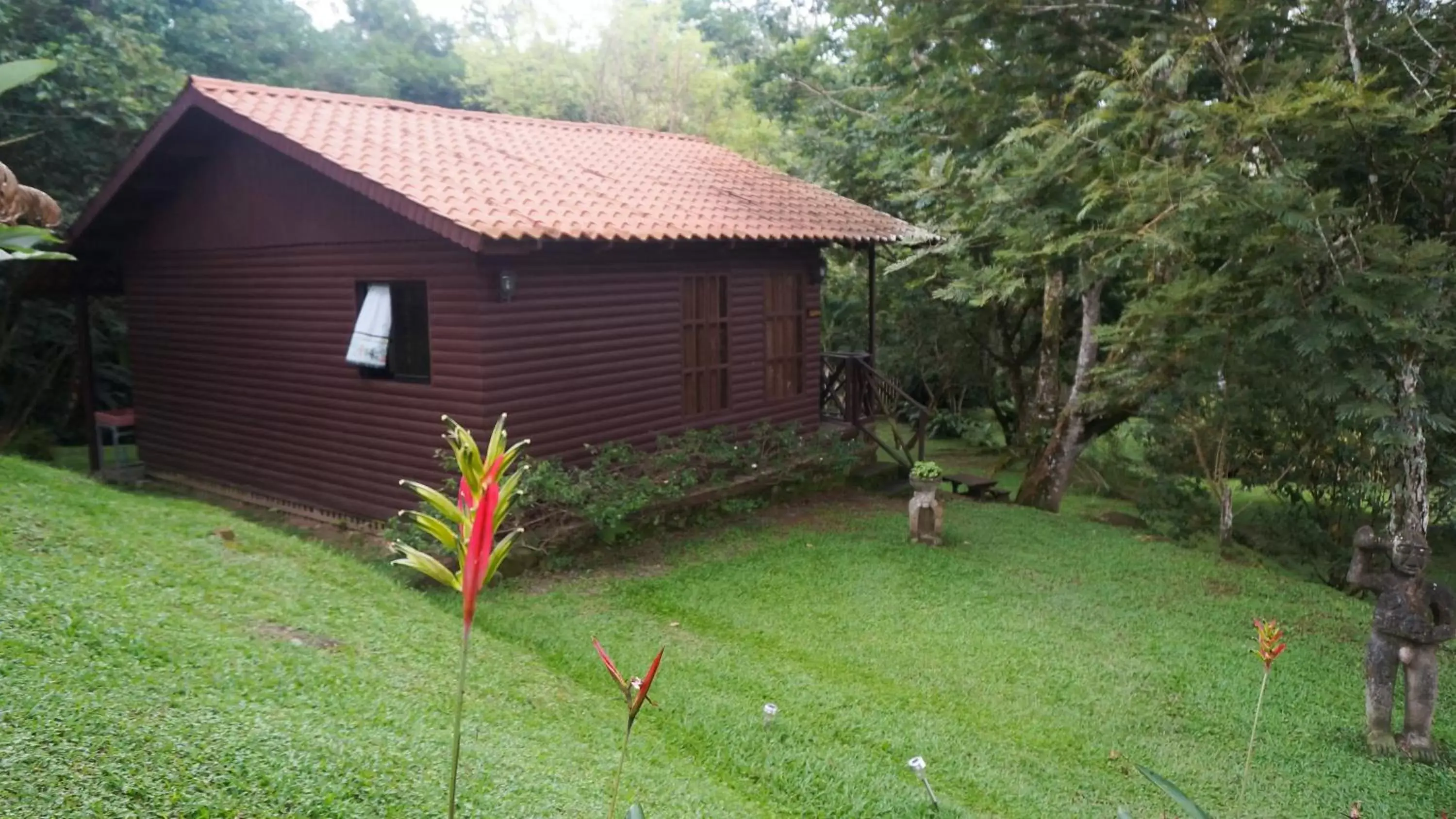 Garden in Hospedaje La Naciente