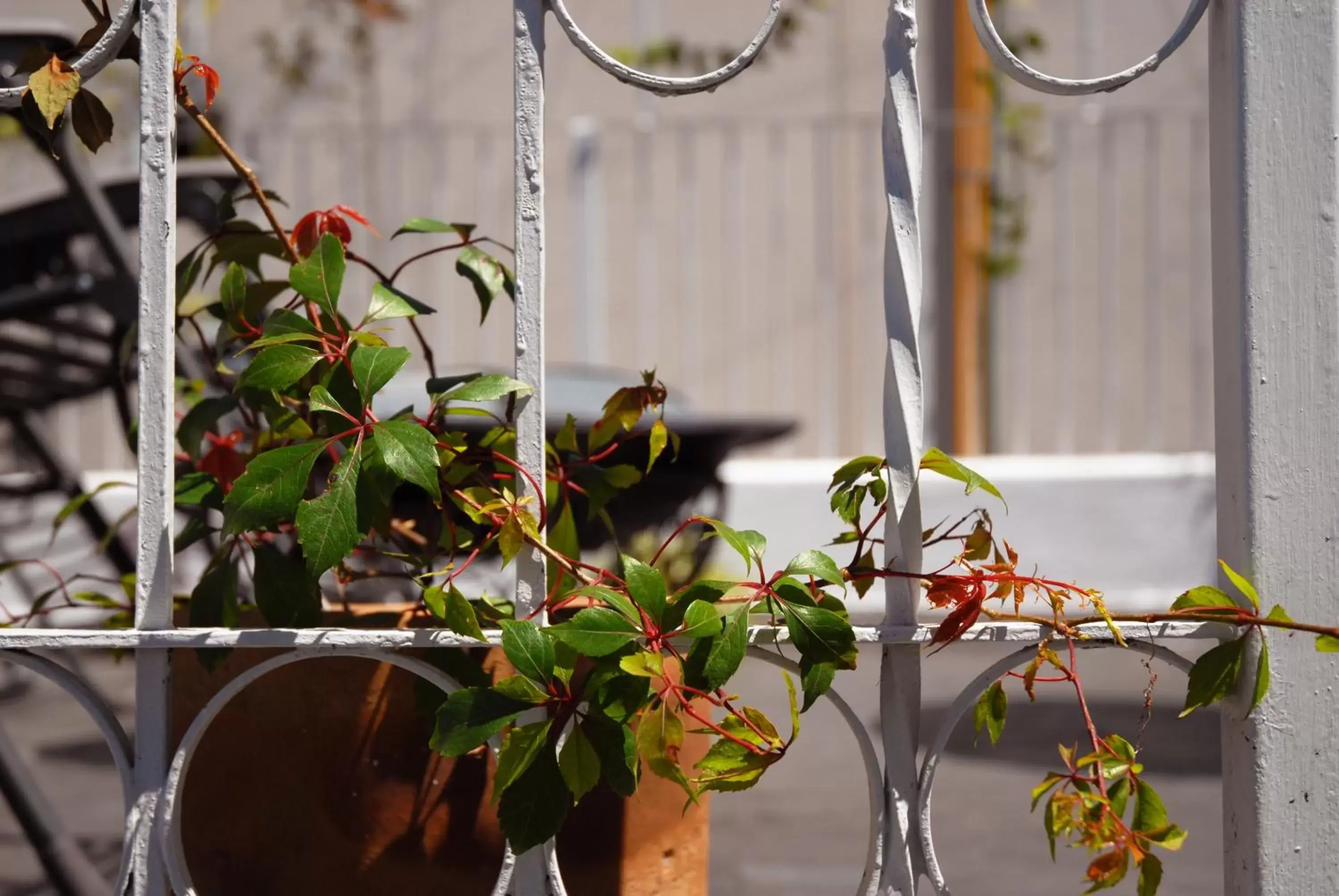 Balcony/Terrace in VL Hotel Boutique by Rotamundos