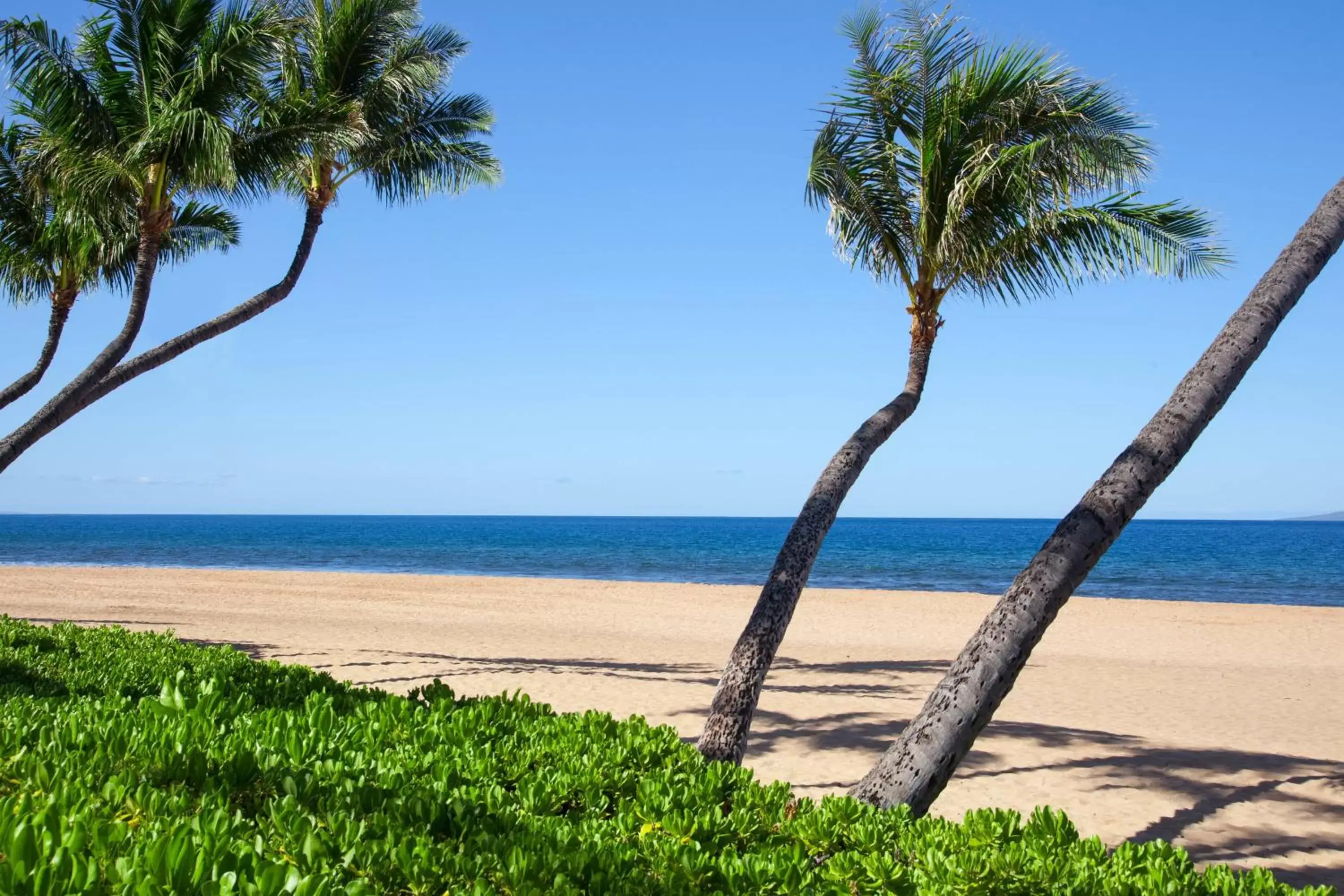 Beach in Marriott's Maui Ocean Club - Molokai, Maui & Lanai Towers