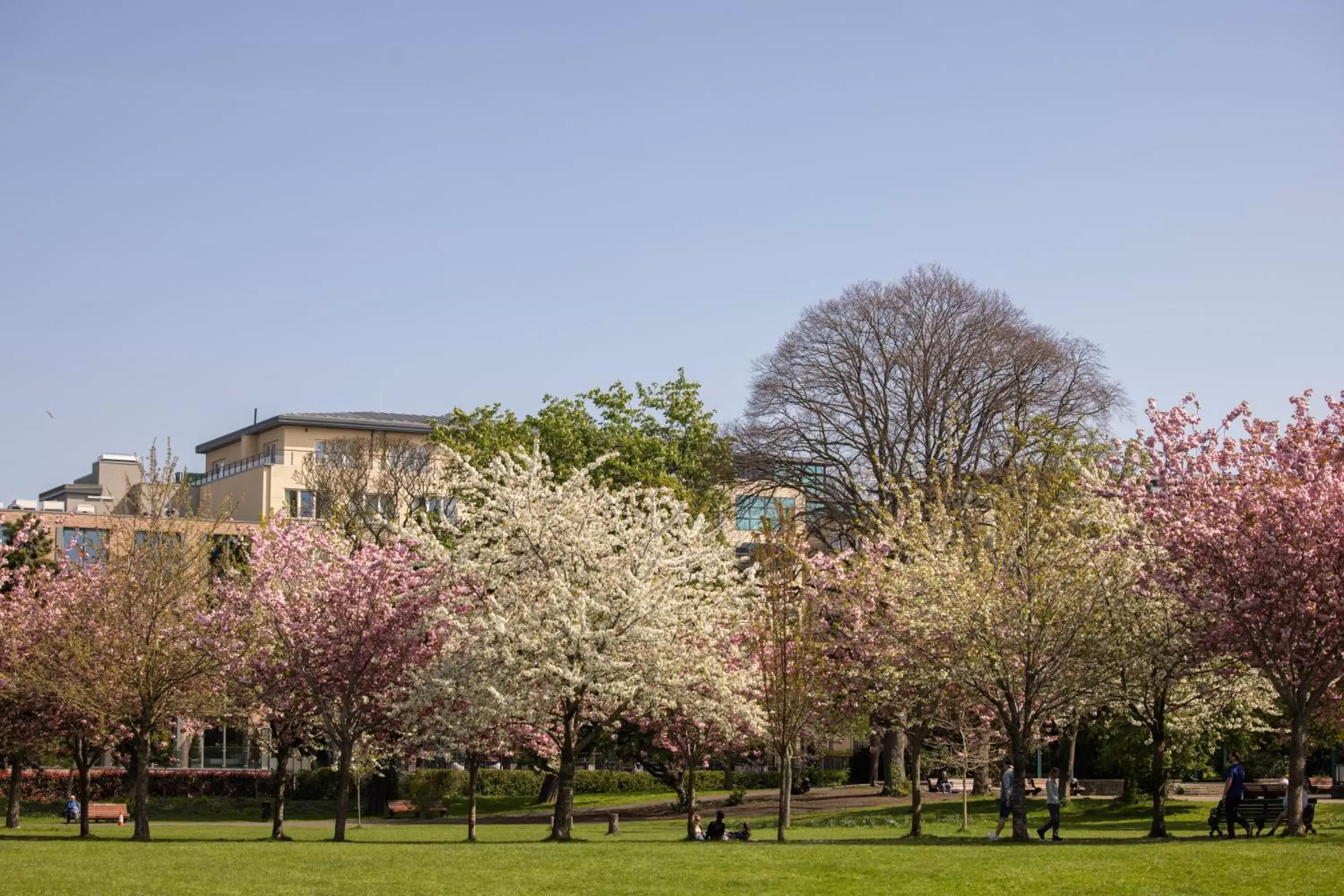 Area and facilities, Property Building in Herbert Park Hotel and Park Residence