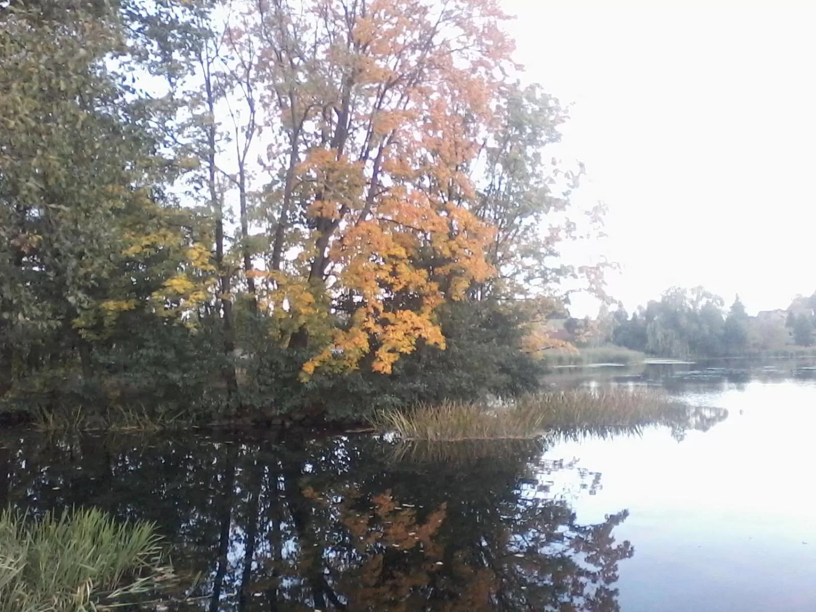 Property building in Dom na Mazurach Pilec