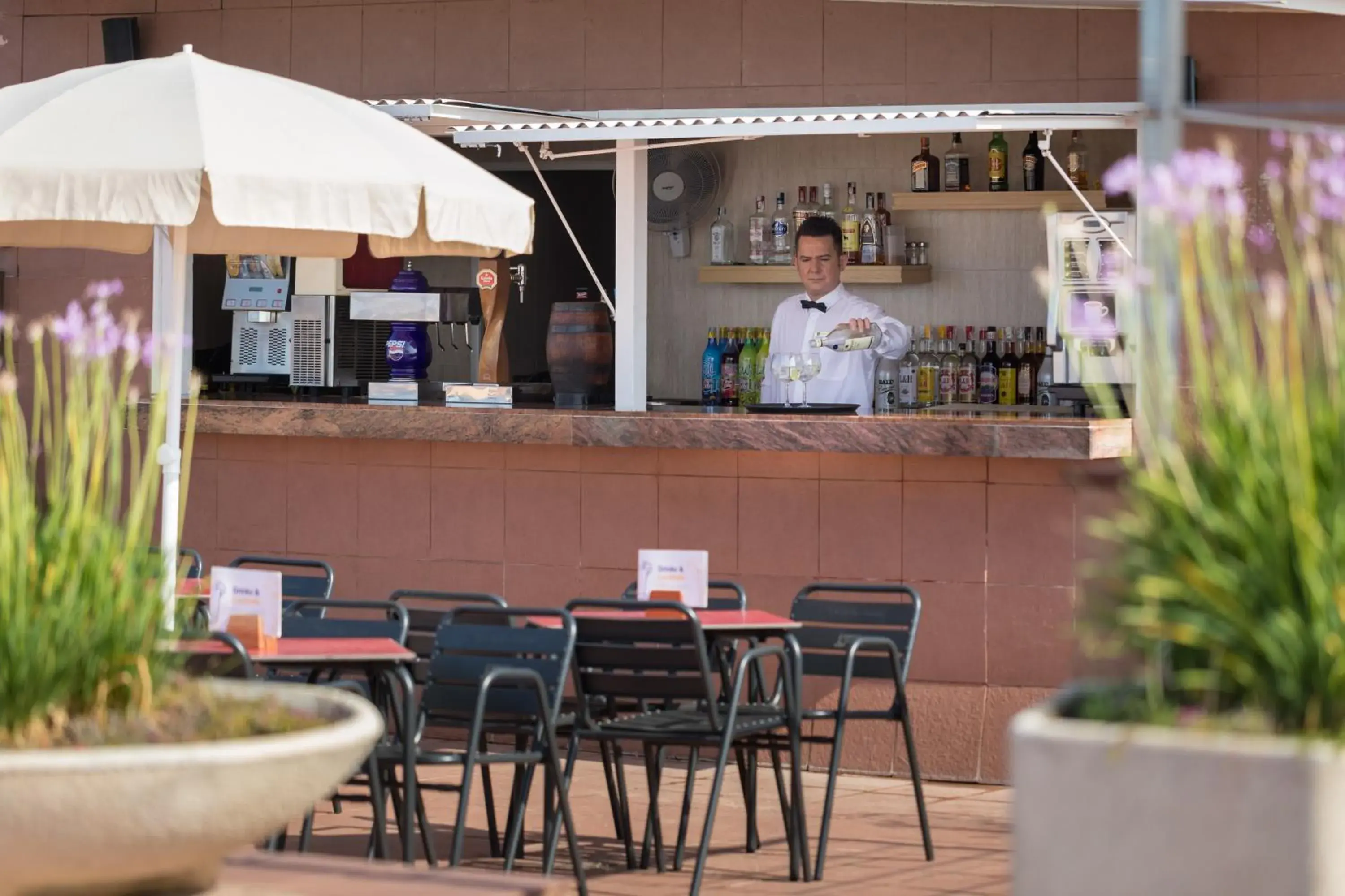 Lounge or bar in htop Molinos Park #htopEnjoy Lounge or bar in htop Molinos Park #htopEnjoy