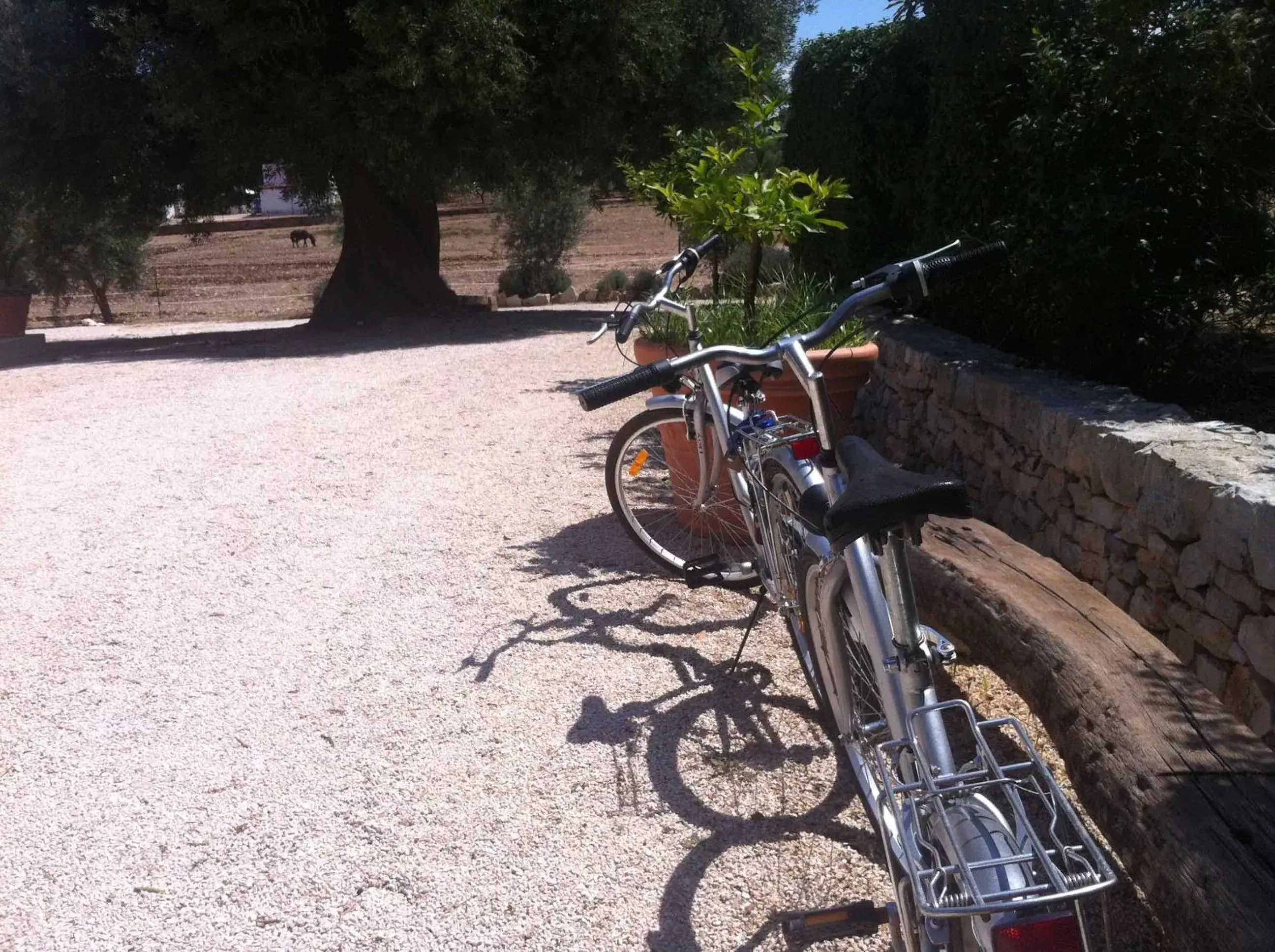 Cycling in Villa Narducci