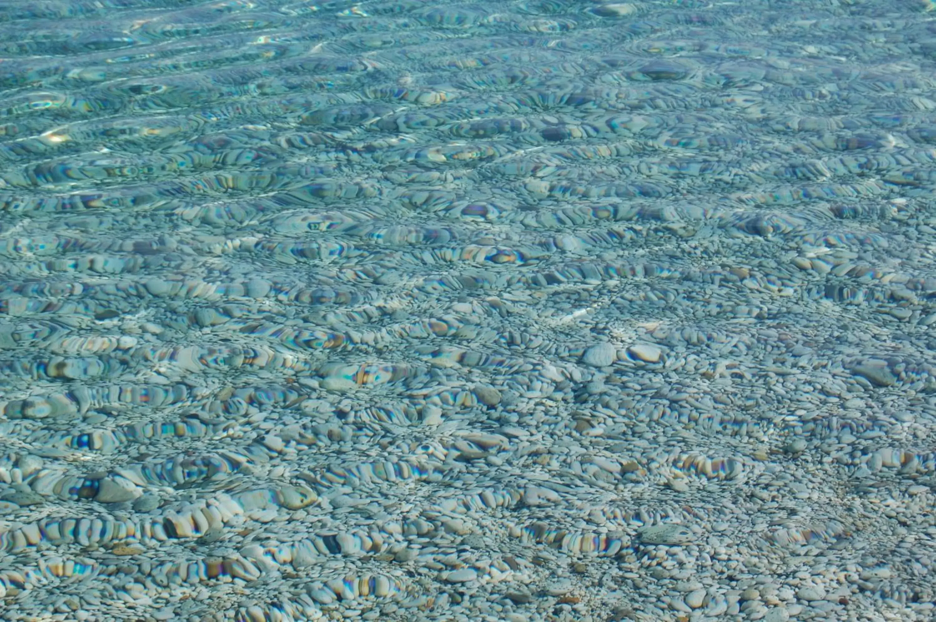 Beach in Hotel Villa Ombrosa