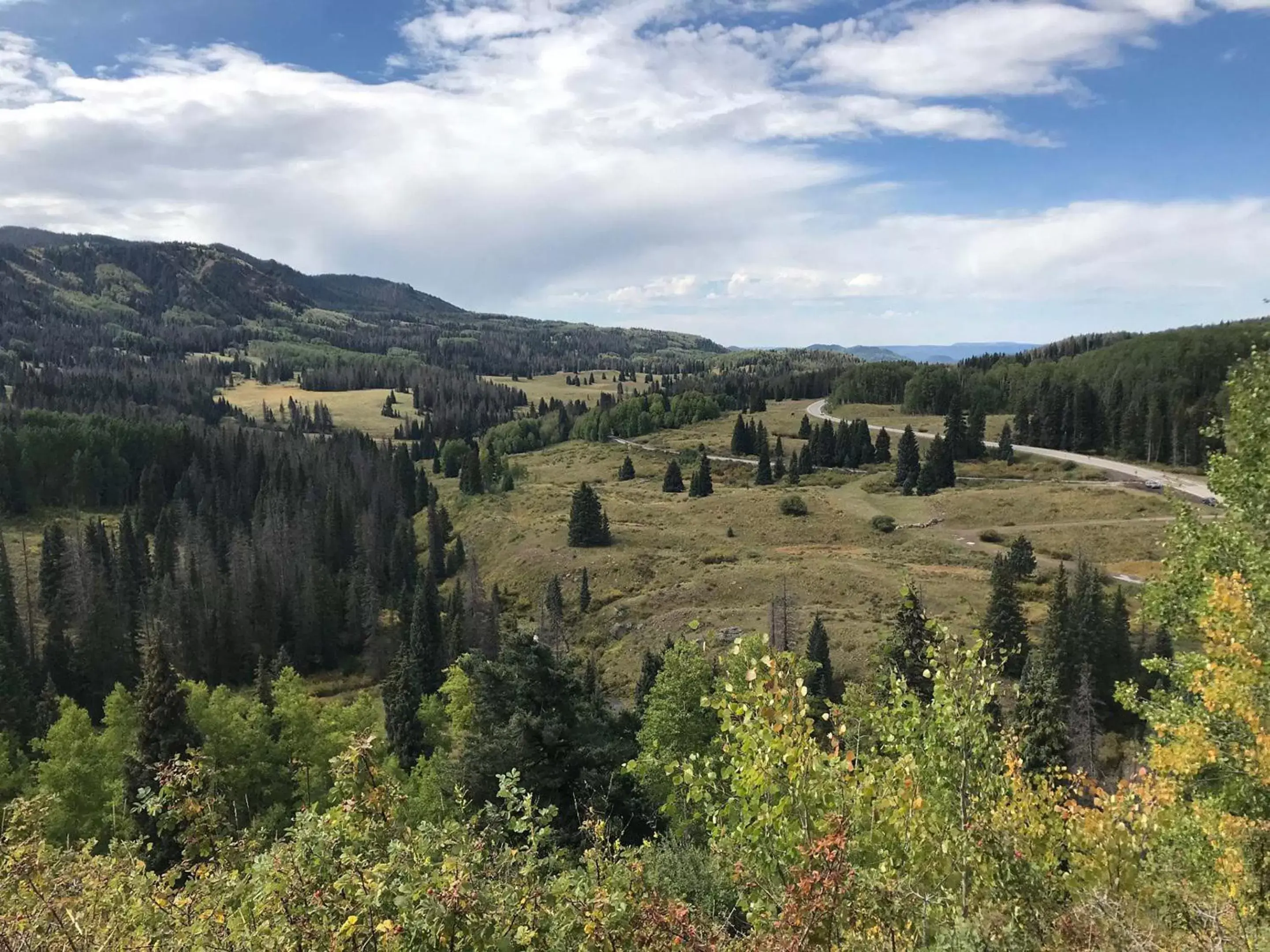 Natural Landscape in Elkhorn Lodge