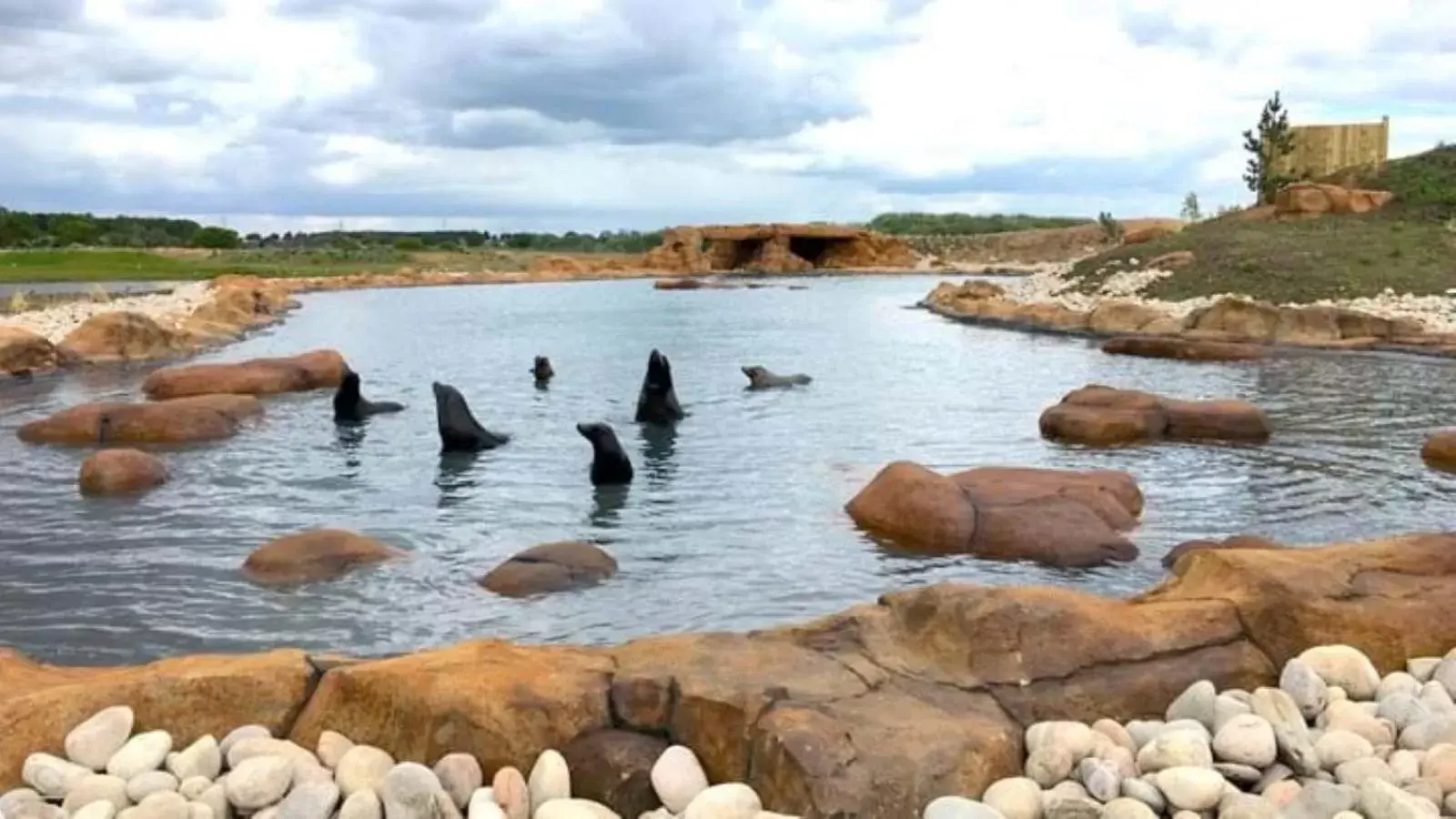 Nearby landmark, Beach in Hex Wildlife Hotel at Yorkshire Wildlife Park