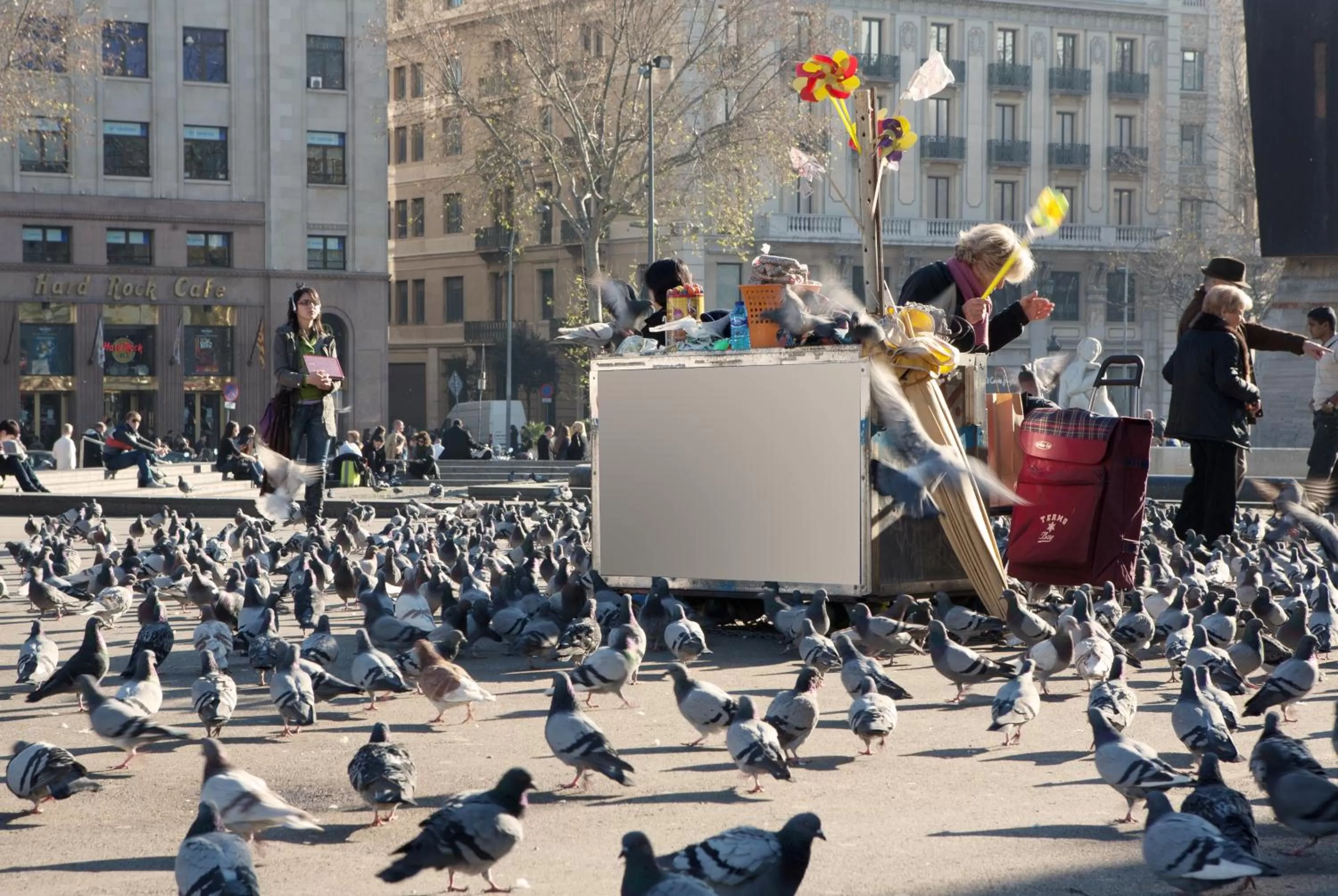 City view in Onix Liceo