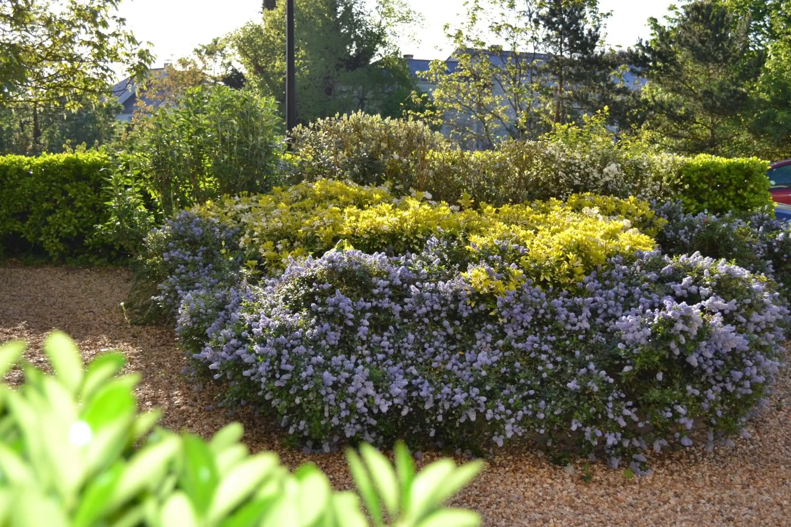 Garden view in Hôtel Le Castel