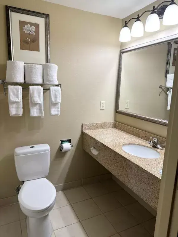 Toilet, Bathroom in Country Inn & Suites by Radisson, Tuscaloosa, AL
