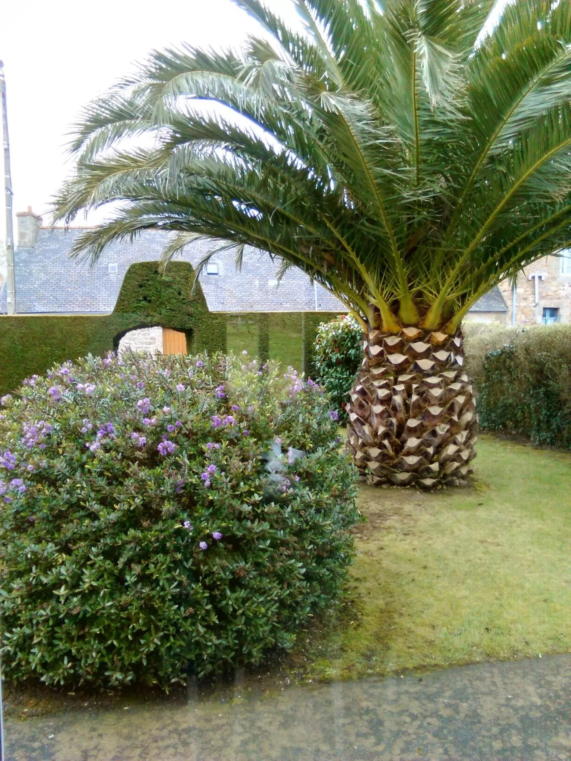 Garden view, Garden in Baradoz ar mor