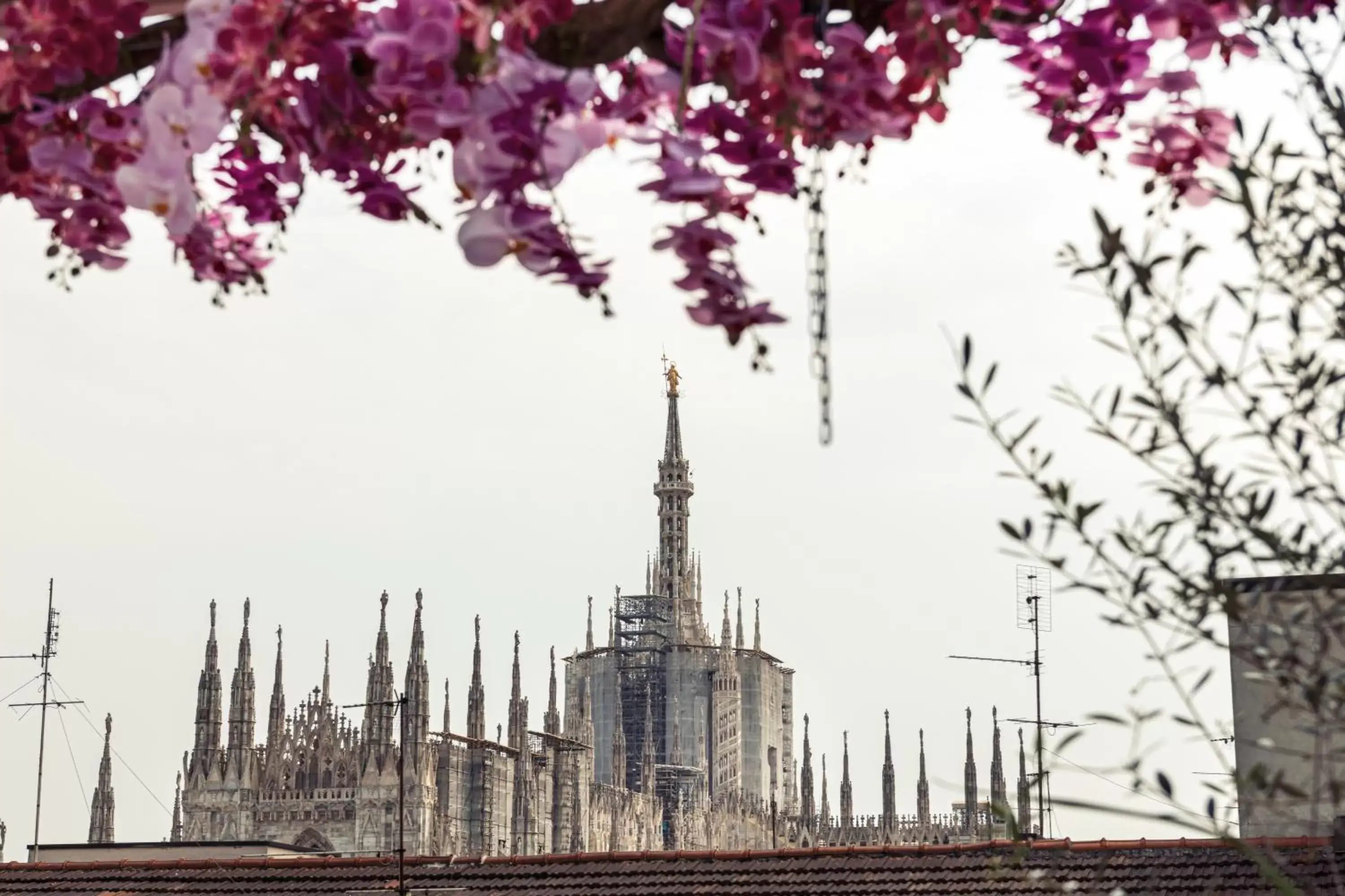 Landmark view in ODSweet Duomo Milano Hotel