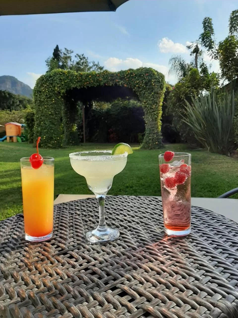 Drinks in Hotel Real Del Valle