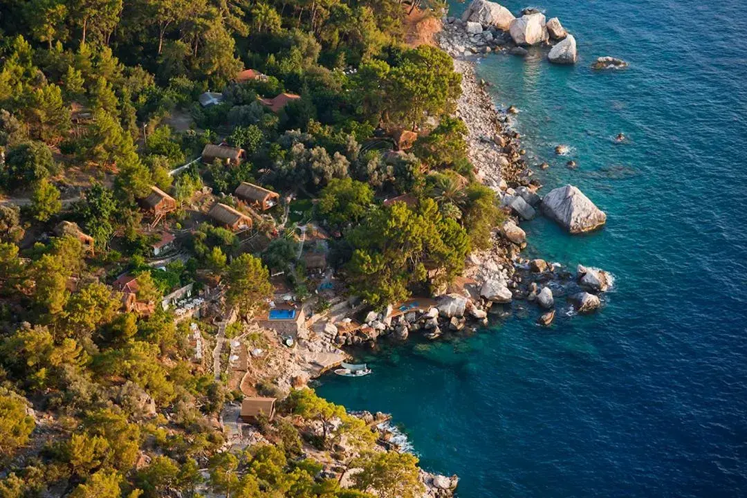 Natural landscape, Bird's-eye View in Perdue Hotel