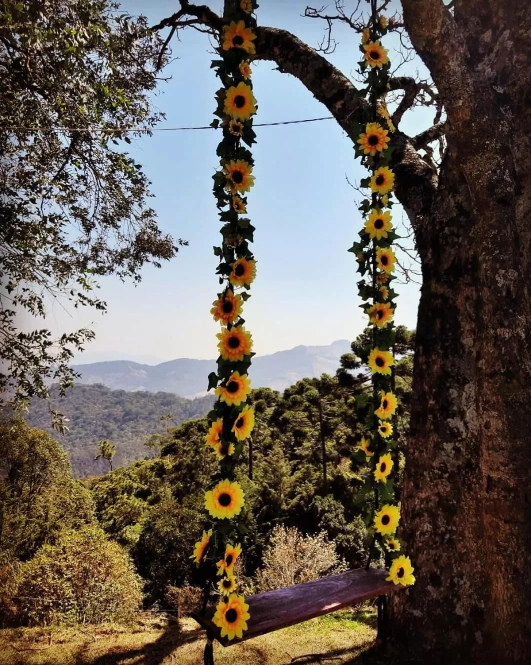 Natural landscape in Pousada Village Por do Sol by Concavus