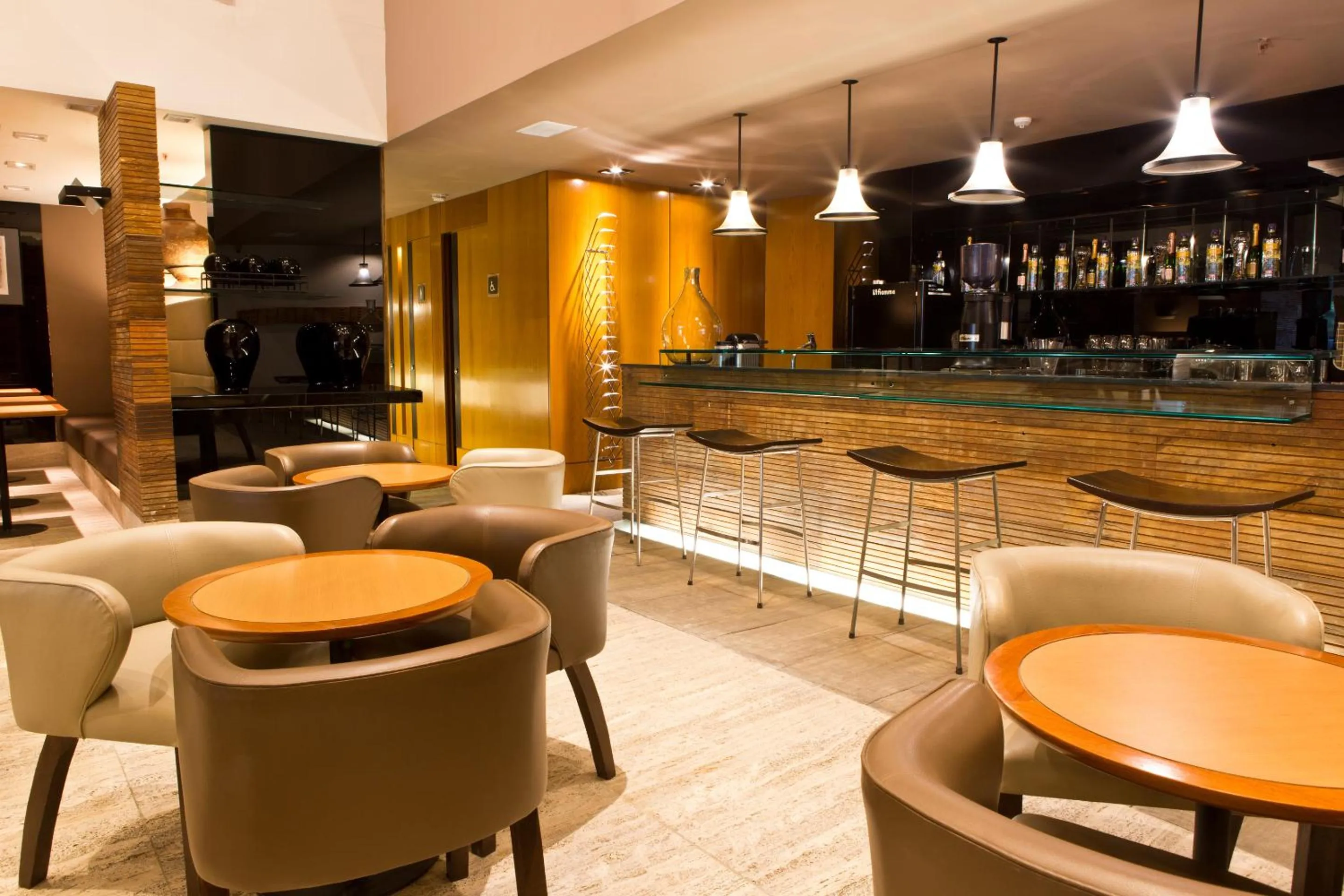 Lounge or bar in Ritz Leblon