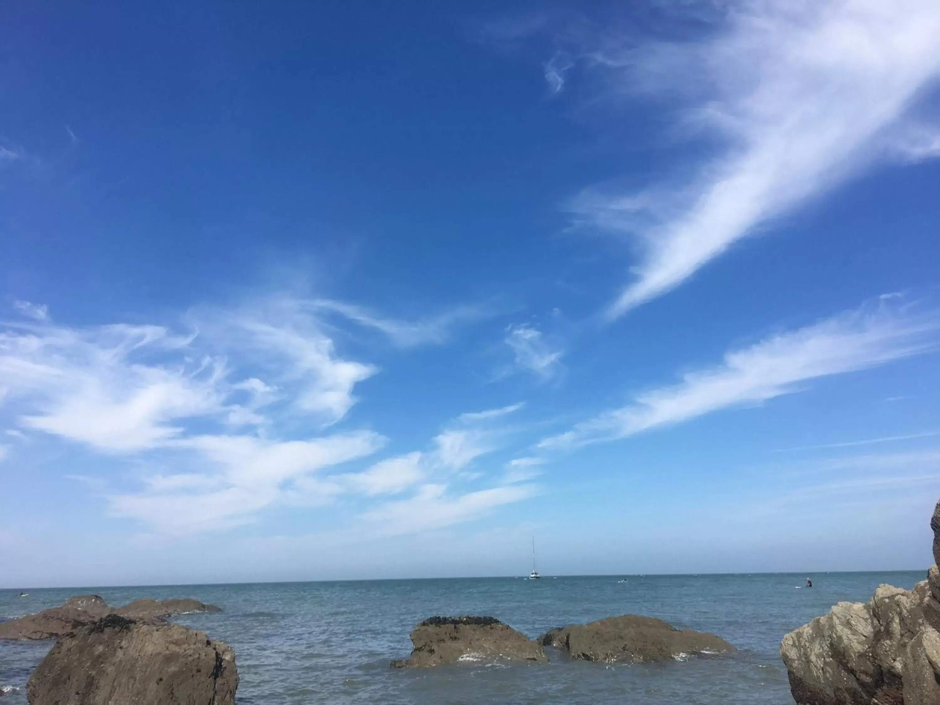 Natural landscape in Newberry Beach lodge