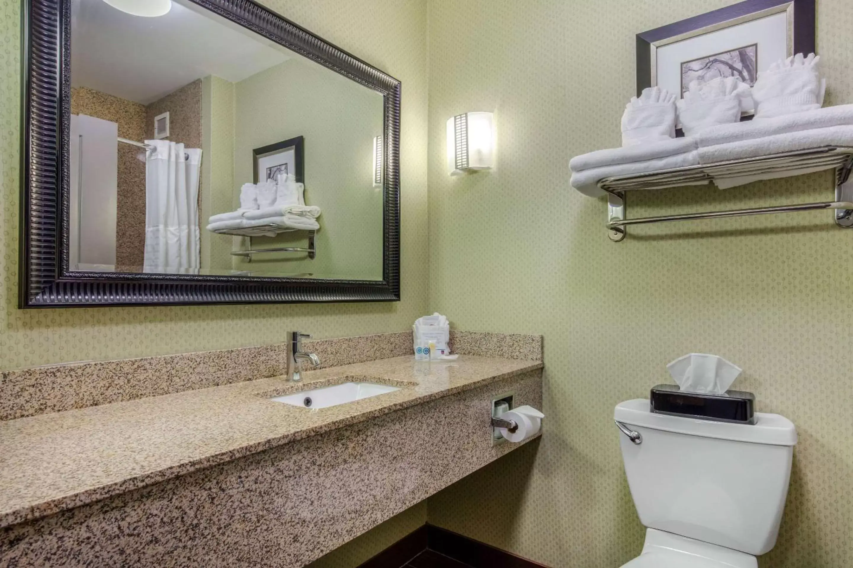 Photo of the whole room, Bathroom in Comfort Suites Jackson I-40