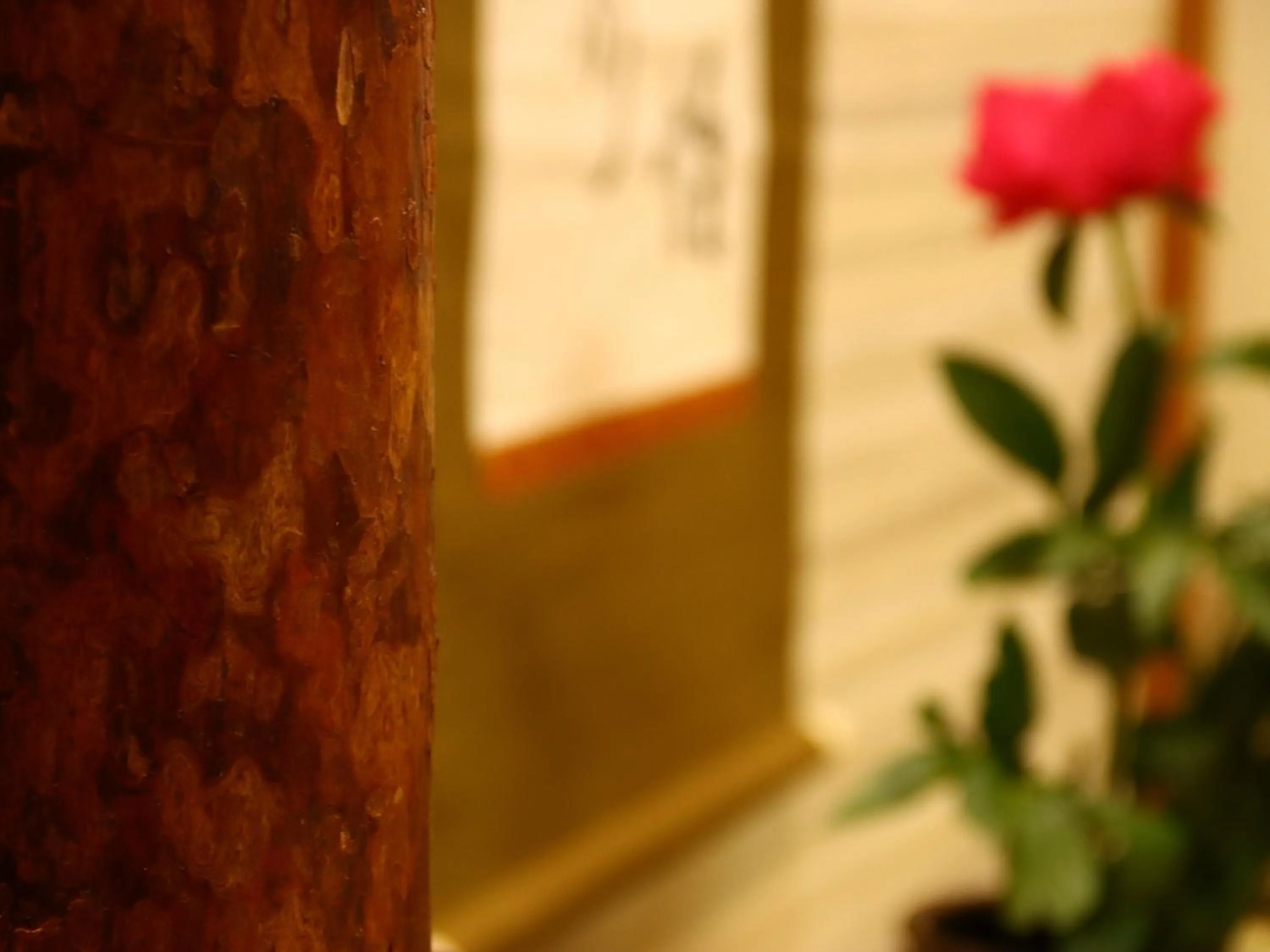 Ryokan Tanabe 旅館田邊