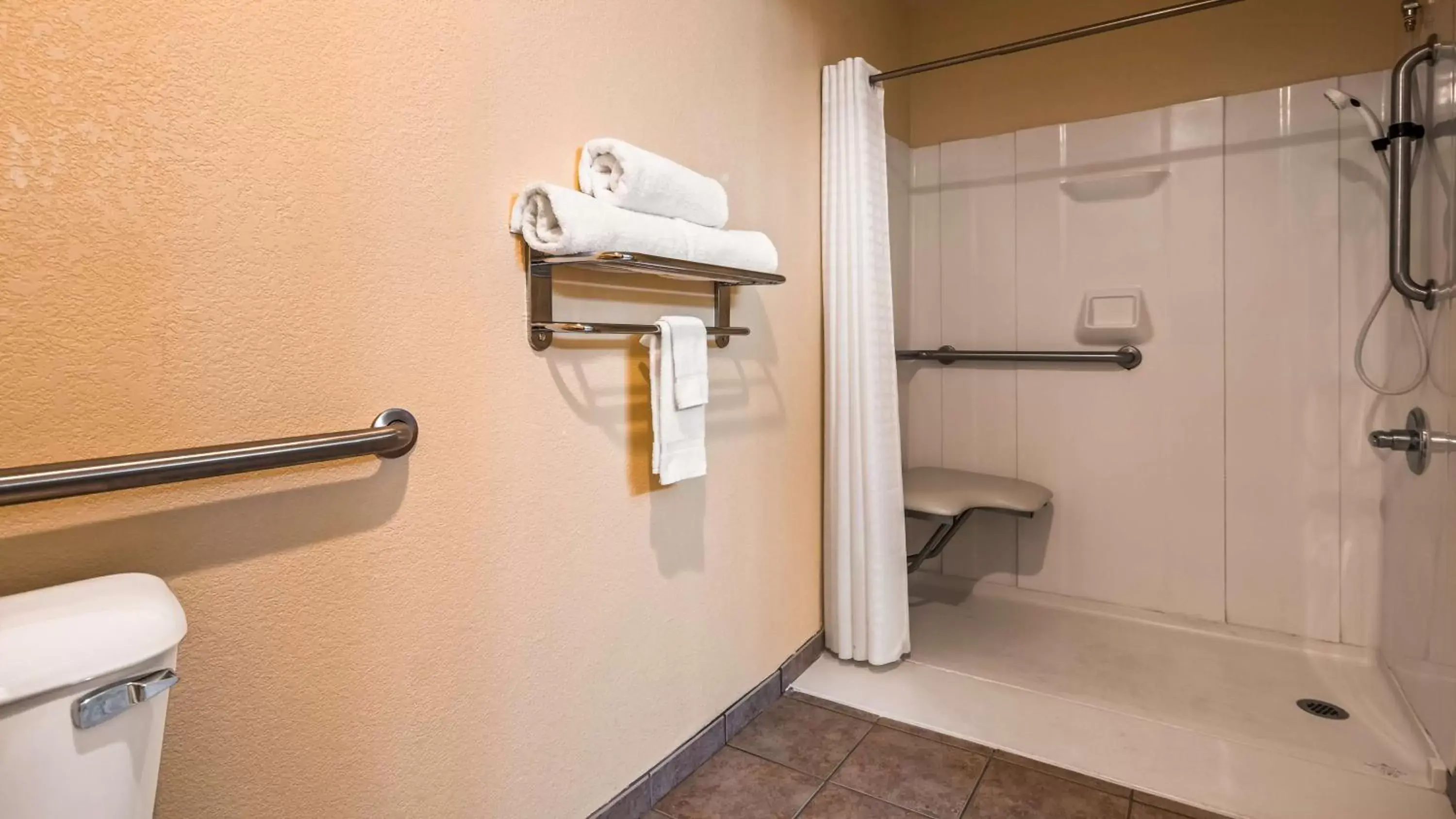 Bathroom in Best Western Oglesby Inn