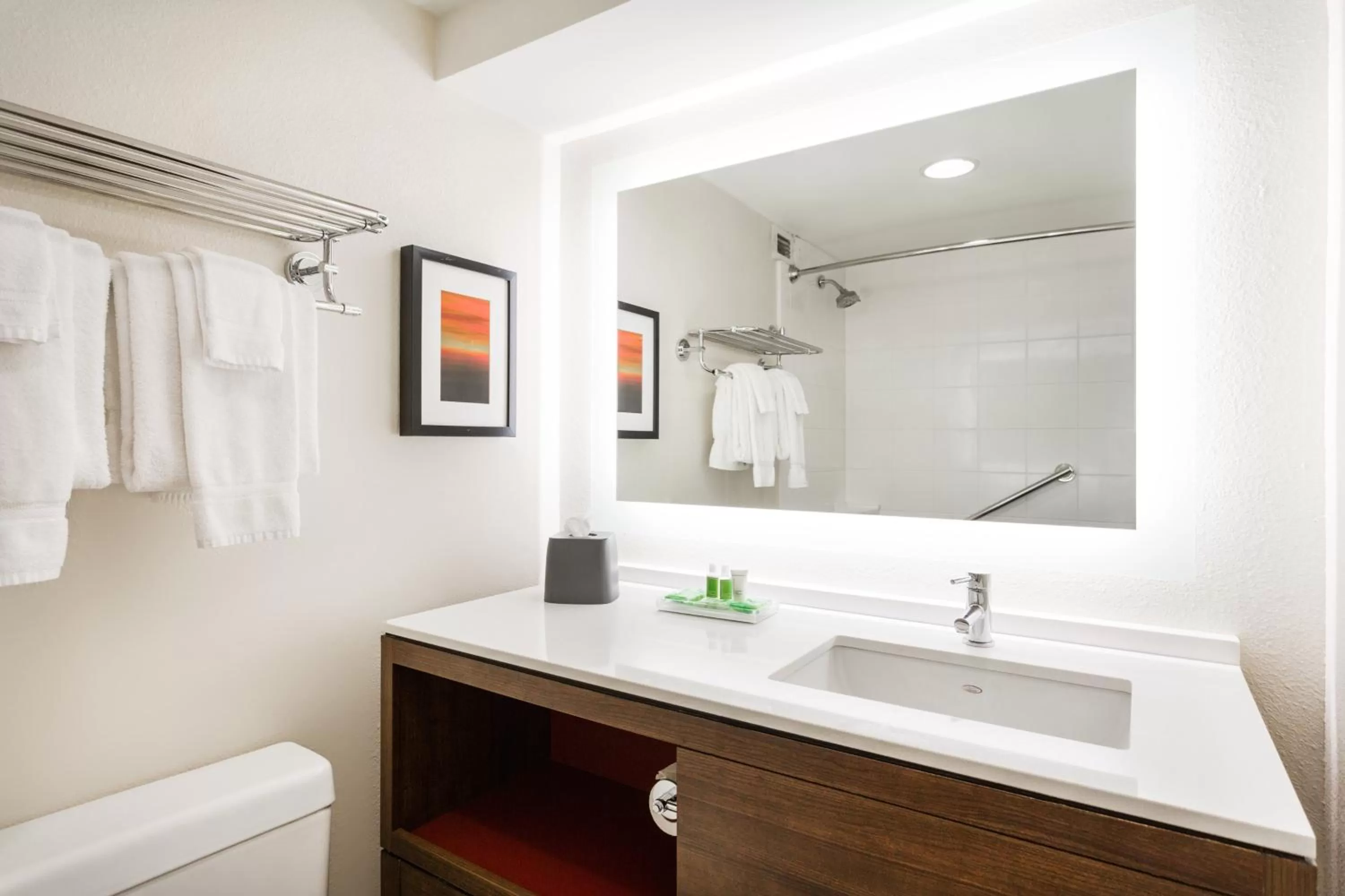 Bathroom in Holiday Inn Timonium by IHG