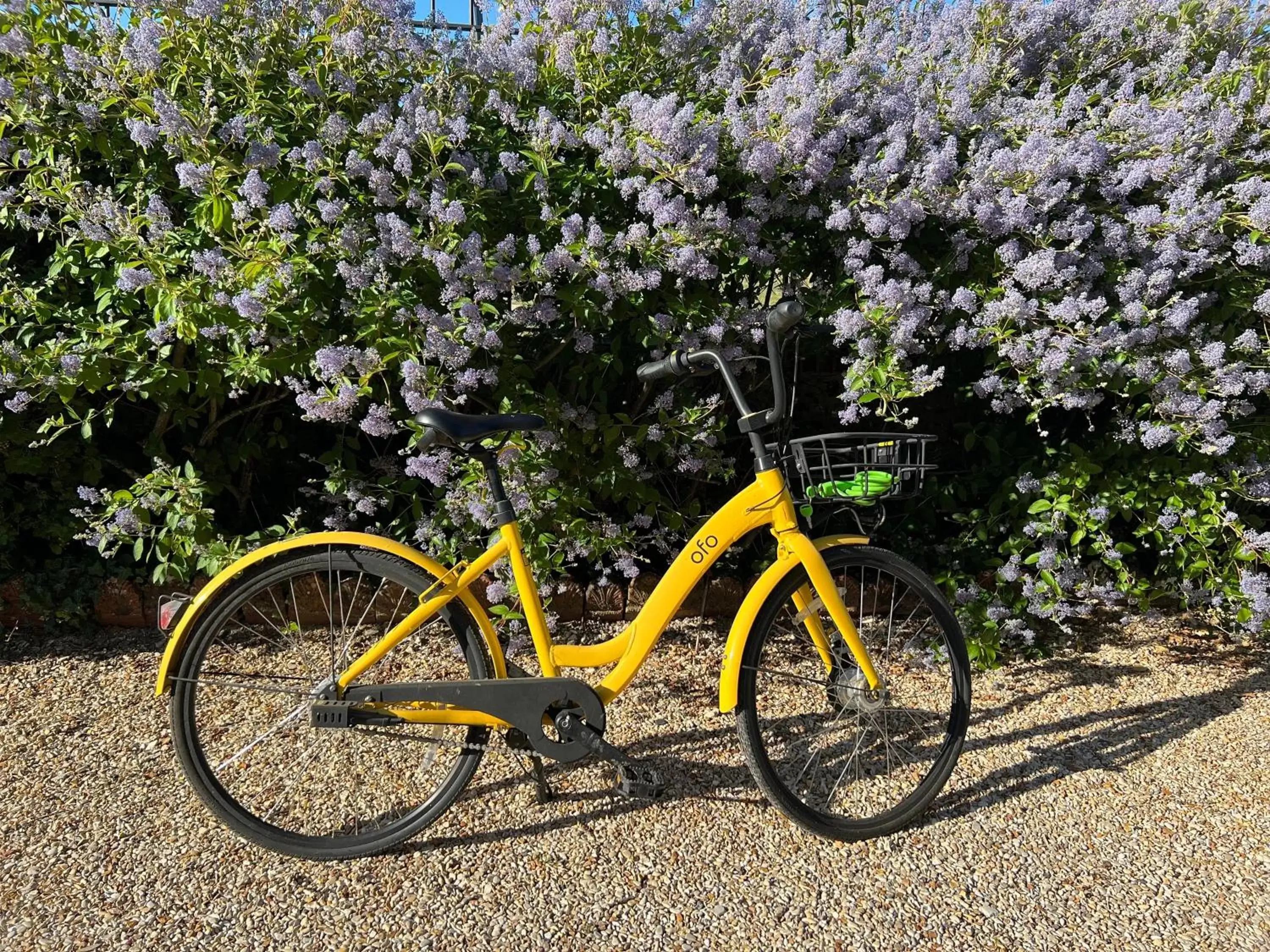 Cycling in Demeure de la Garenne