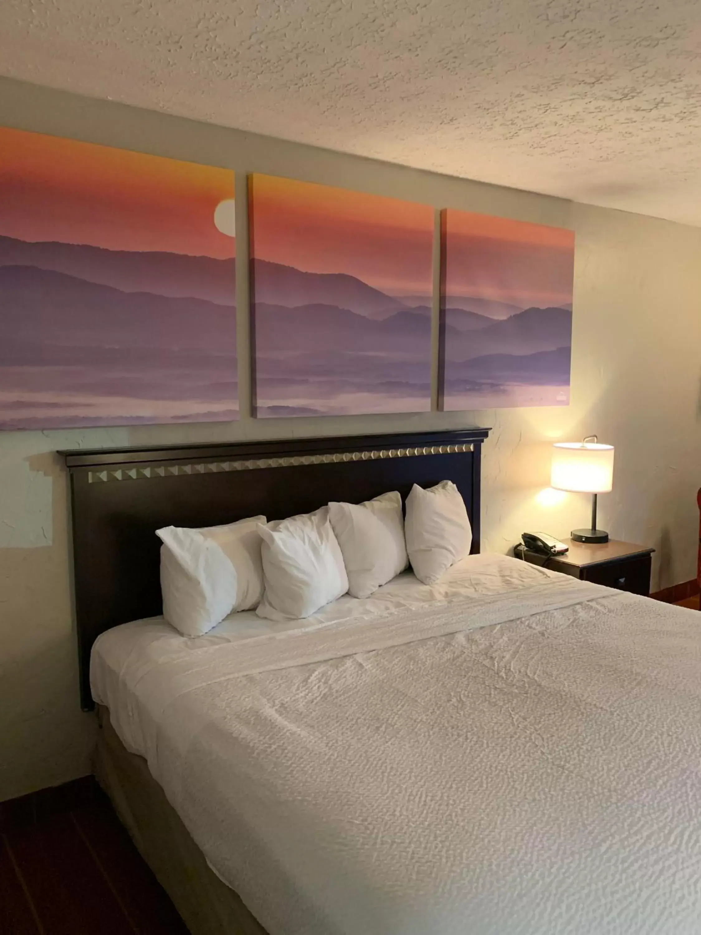 Bed in Days Inn by Wyndham Louisville Airport Fair and Expo Center