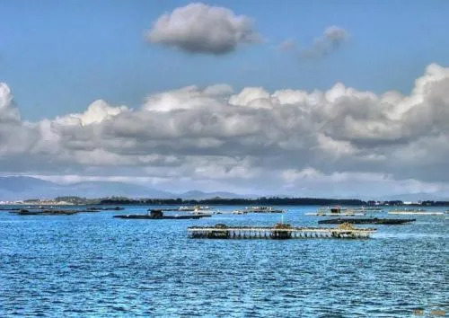 Area and facilities in Hotel Abeiras