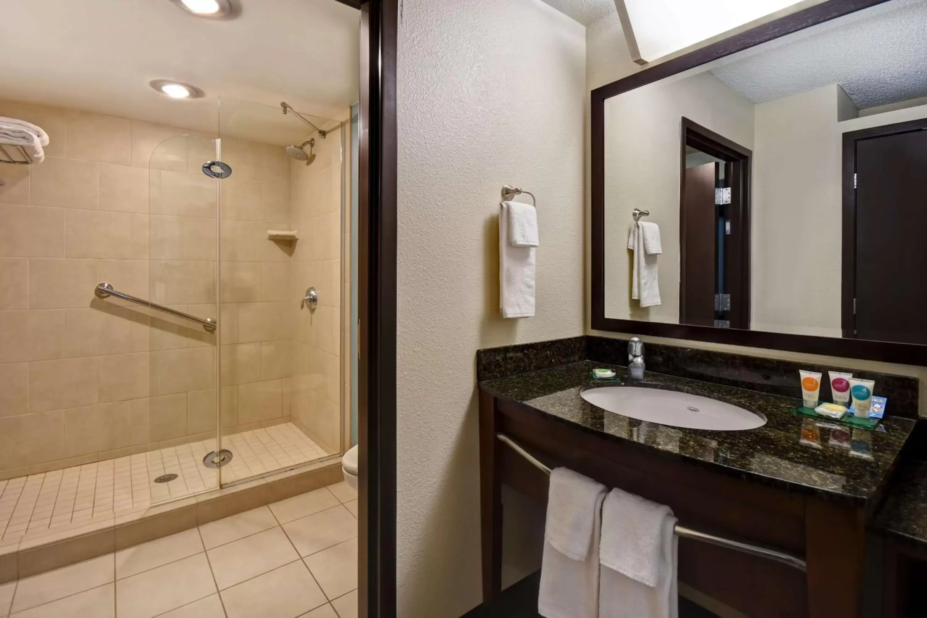 Bathroom in Hyatt Place Phoenix Gilbert