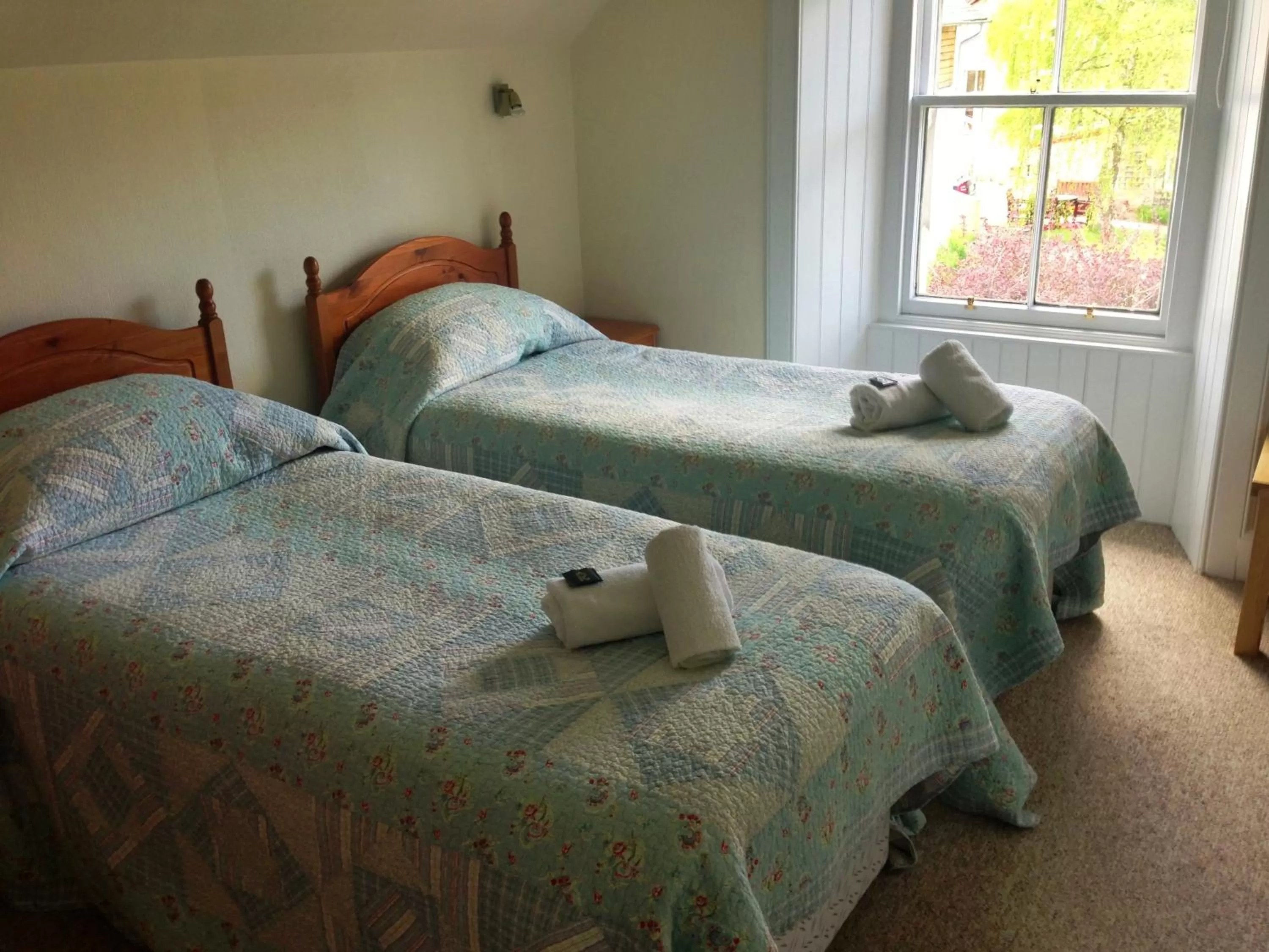 Photo of the whole room in Buttonboss Lodge B&B