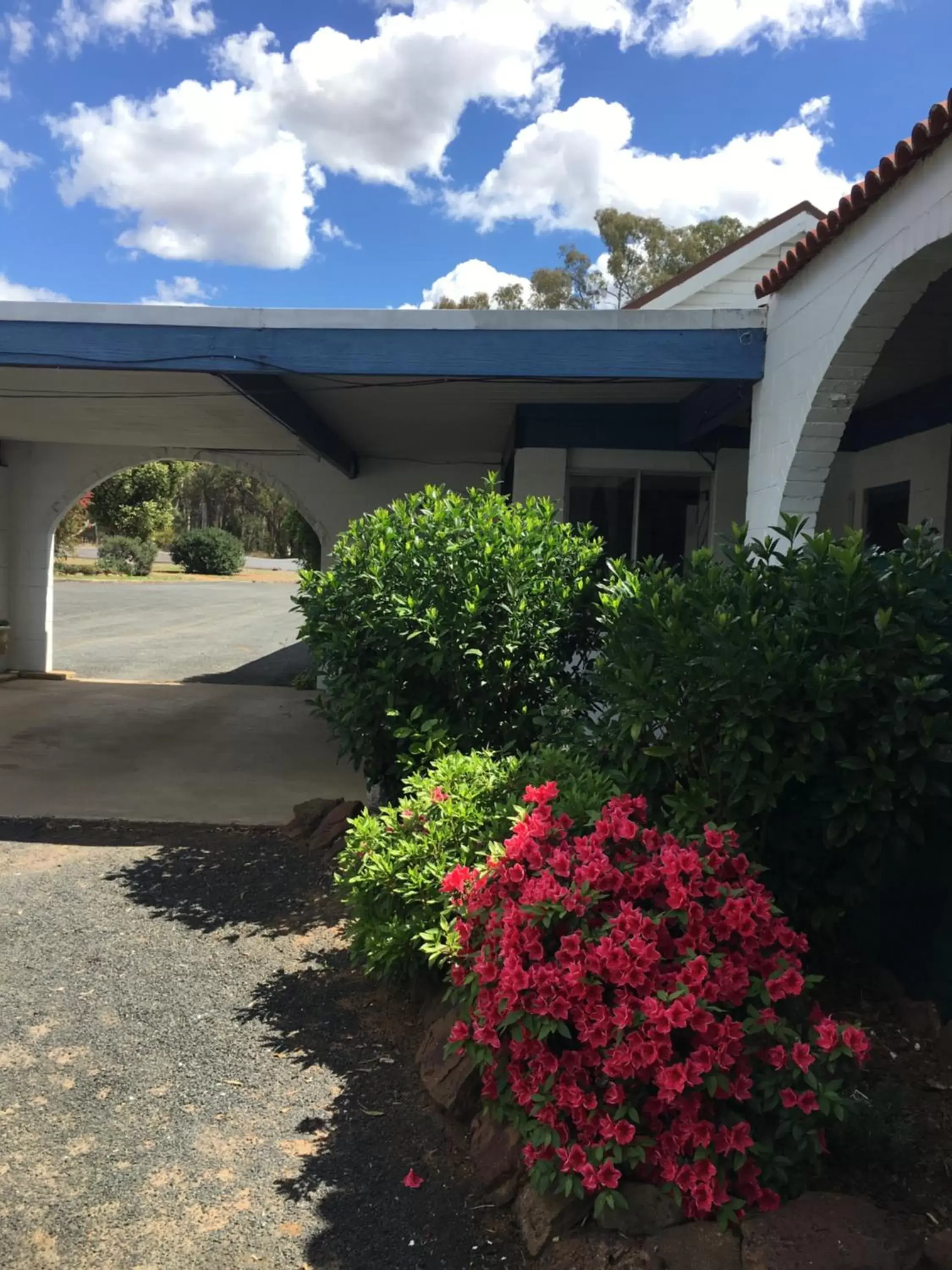 Garden view in Azalea Motel Garden view in Azalea Motel