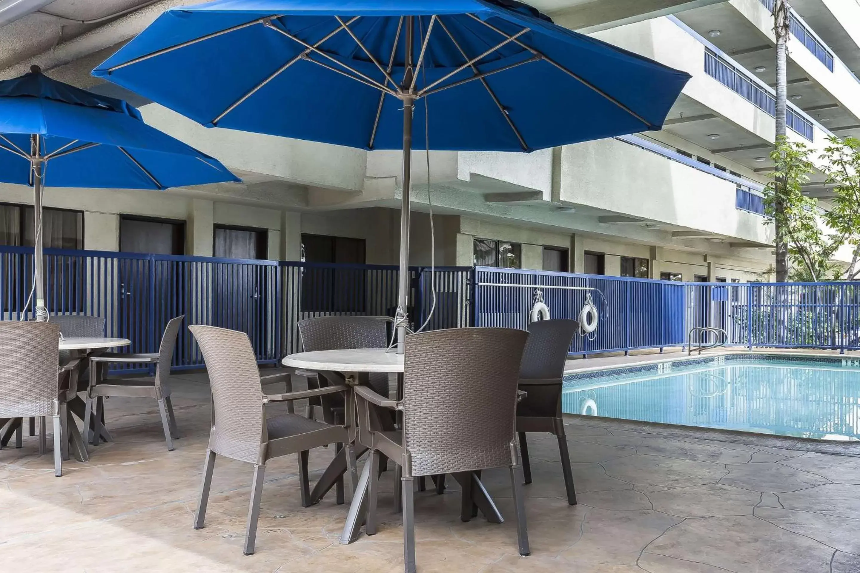 Swimming Pool in Quality Inn & Suites Los Angeles Airport - LAX