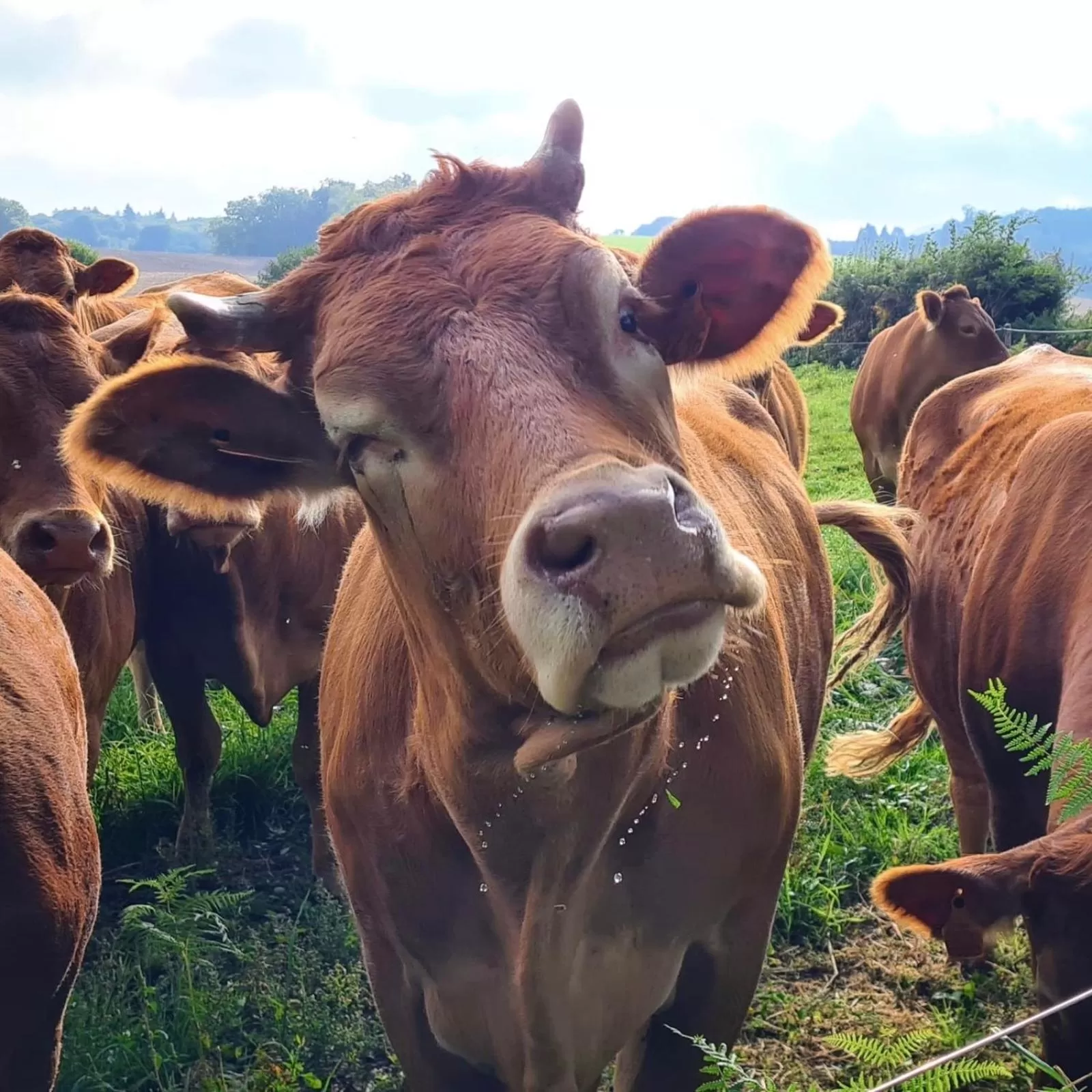 Natural landscape in Bon Chez Nous