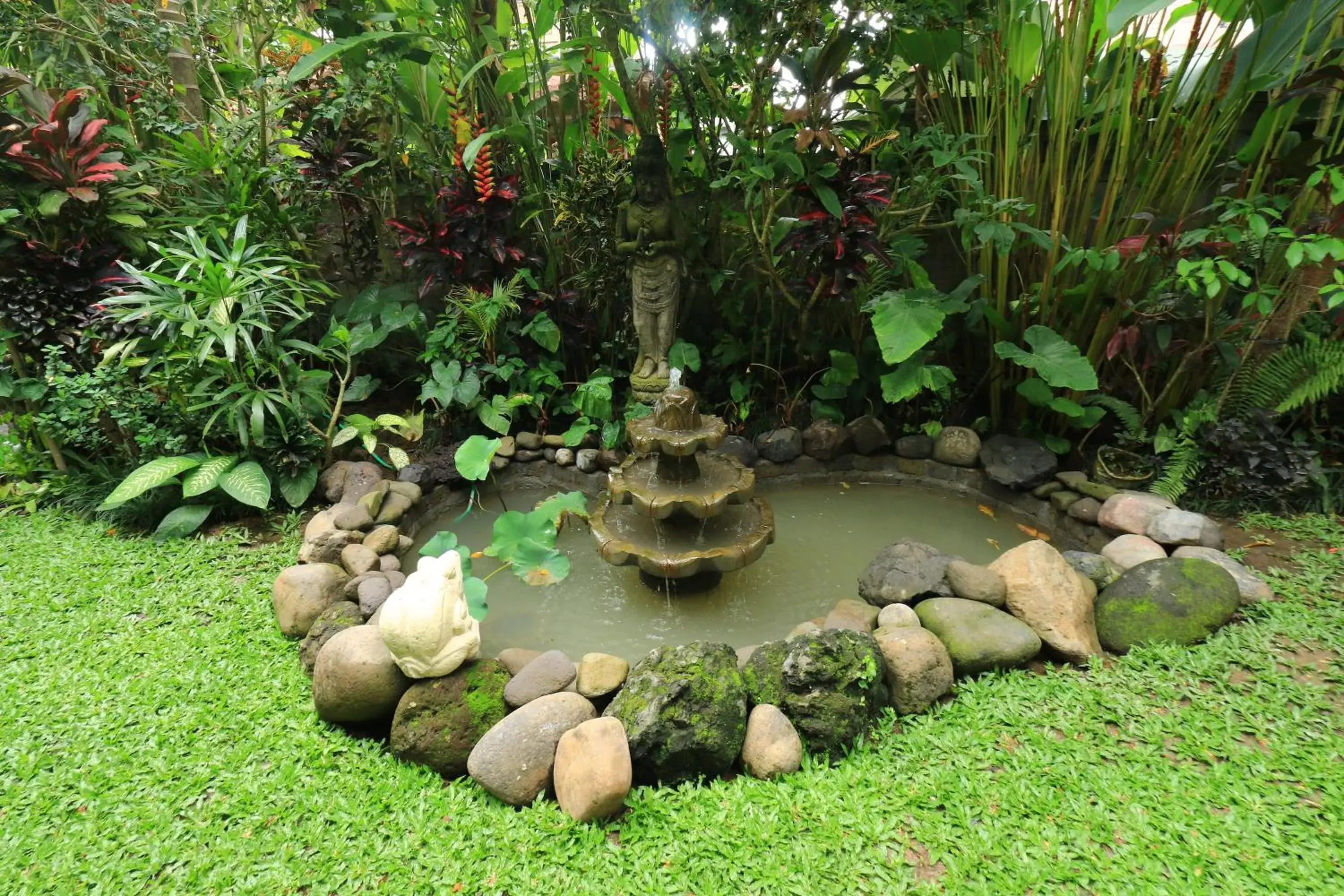 Garden in Frangipani Bungalow