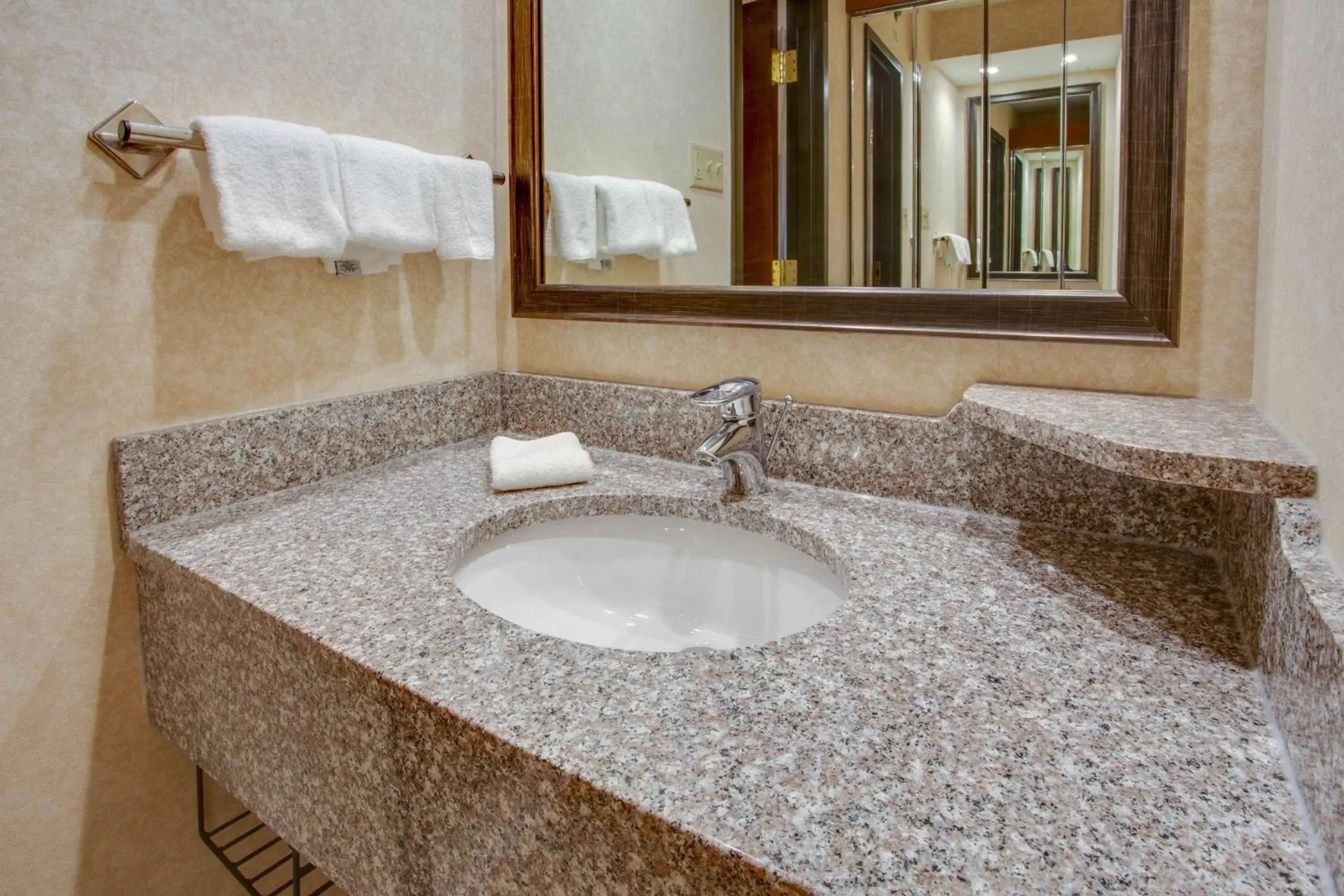 Bathroom in Drury Inn & Suites Terre Haute