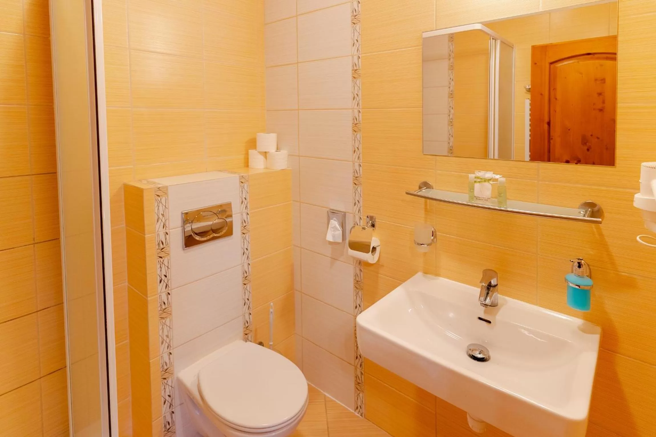 Toilet in Hotel Strachanovka - Jánska Koliba